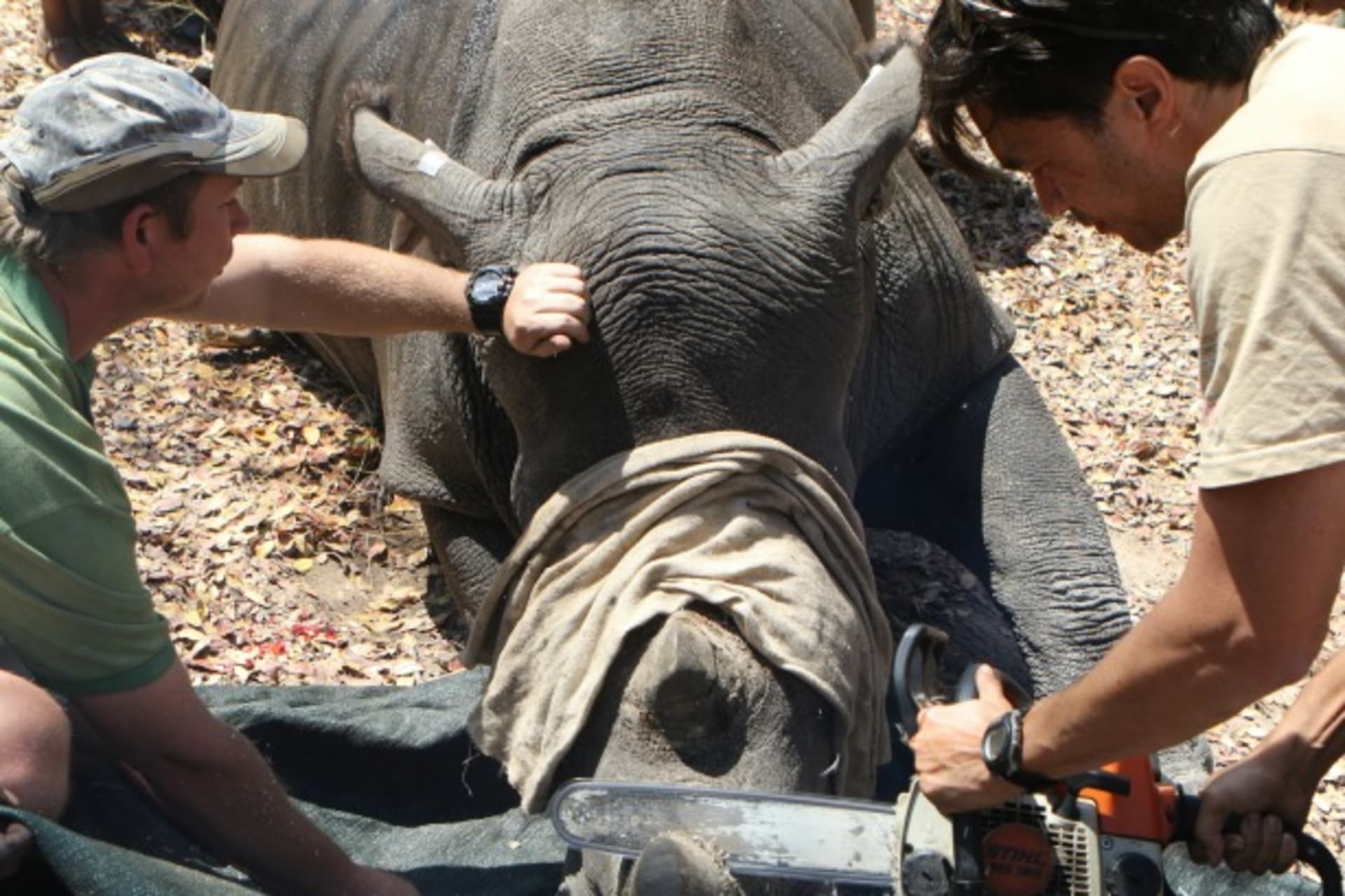 rhino-pipeline