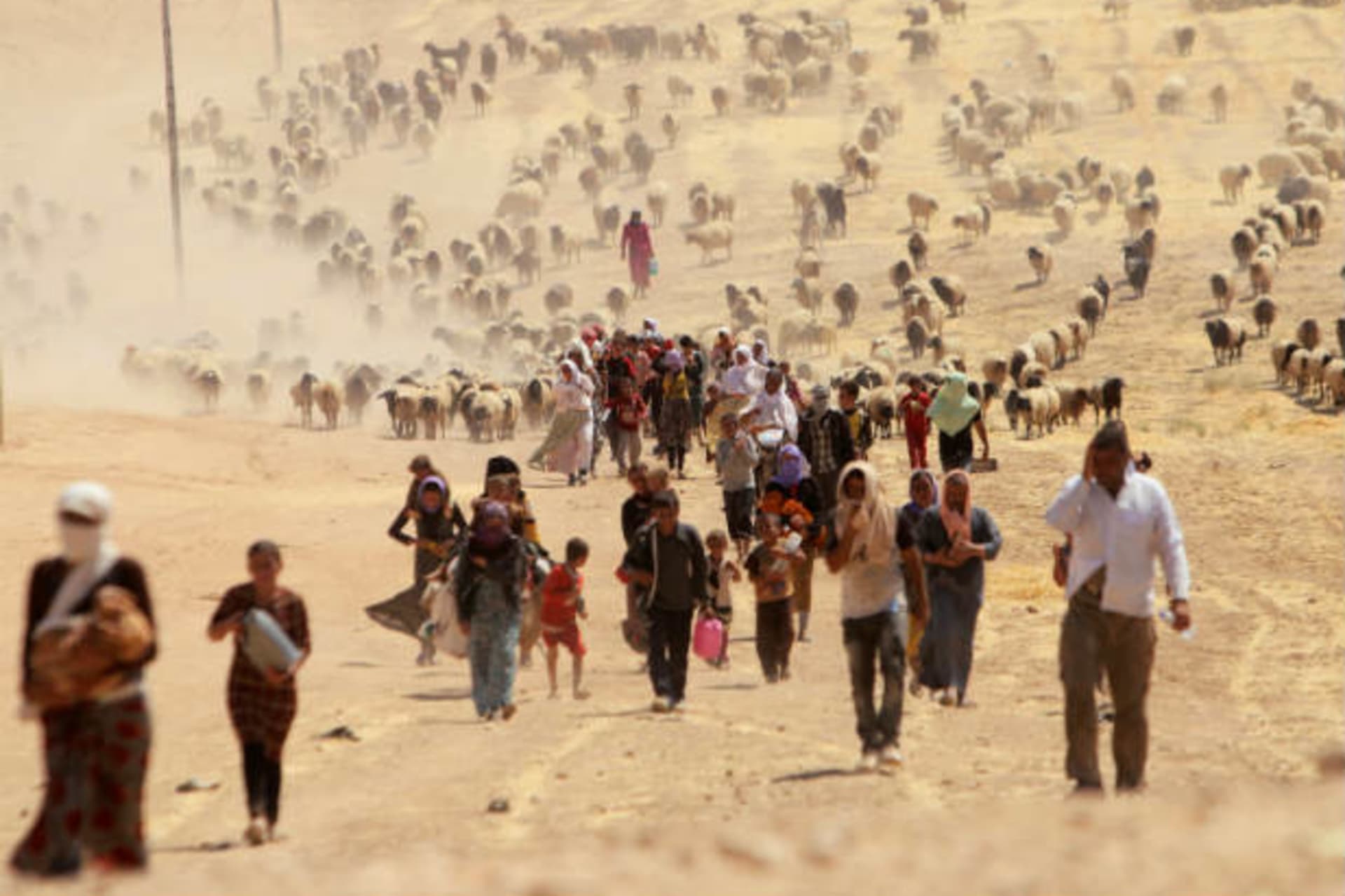 <p>Yazidi women rape ICC ISIS ISIL islamic state</p>
