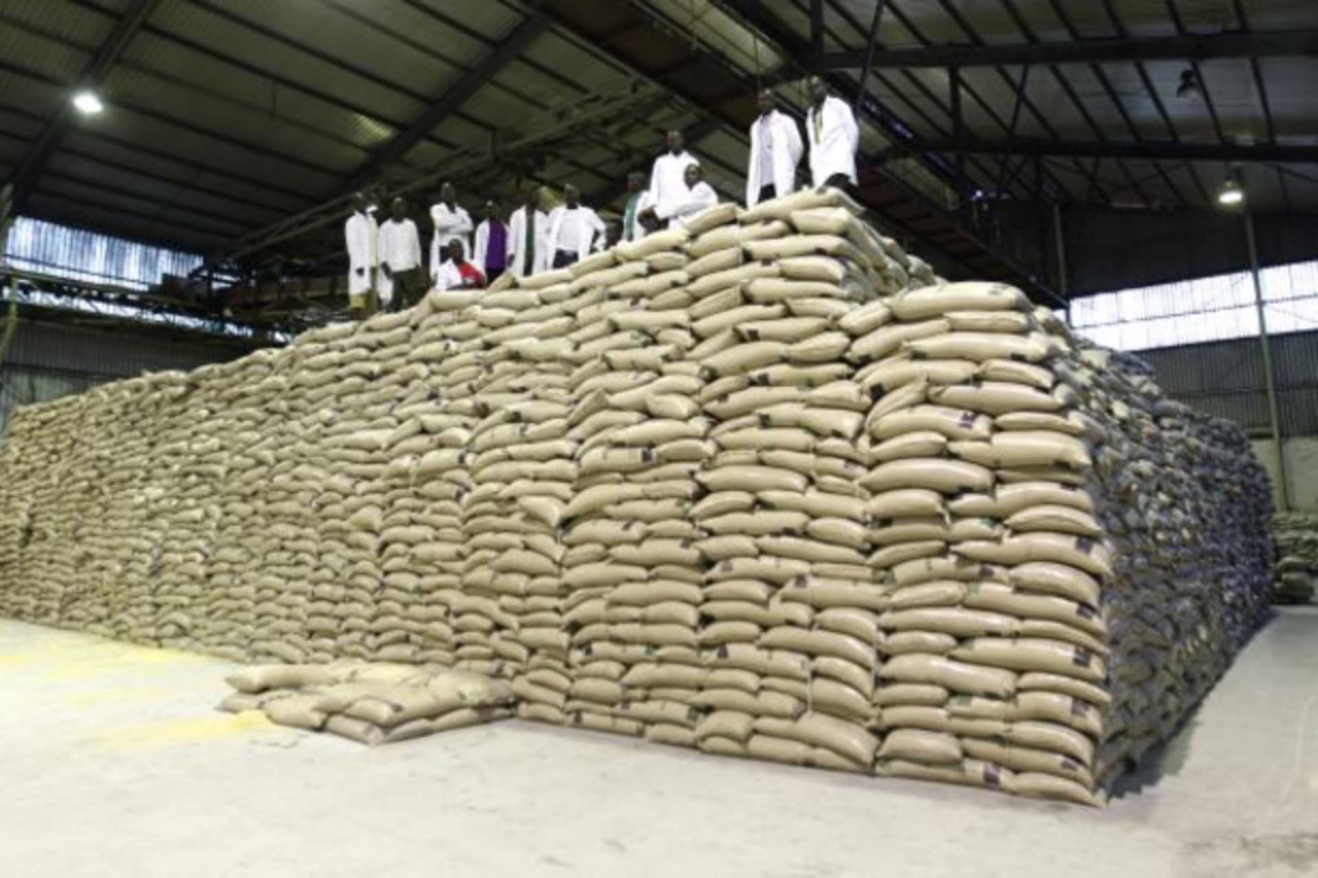 <p>Workers stand on top of bags of sugar at the Mumias sugar factory in western Kenya February 24, 2015. In the sugar cane fields…ain-fed plots rather than large irrigated plantations, costs are much higher than Kenya’s competitors (Reuters/Thomas Mukoya).</p>
