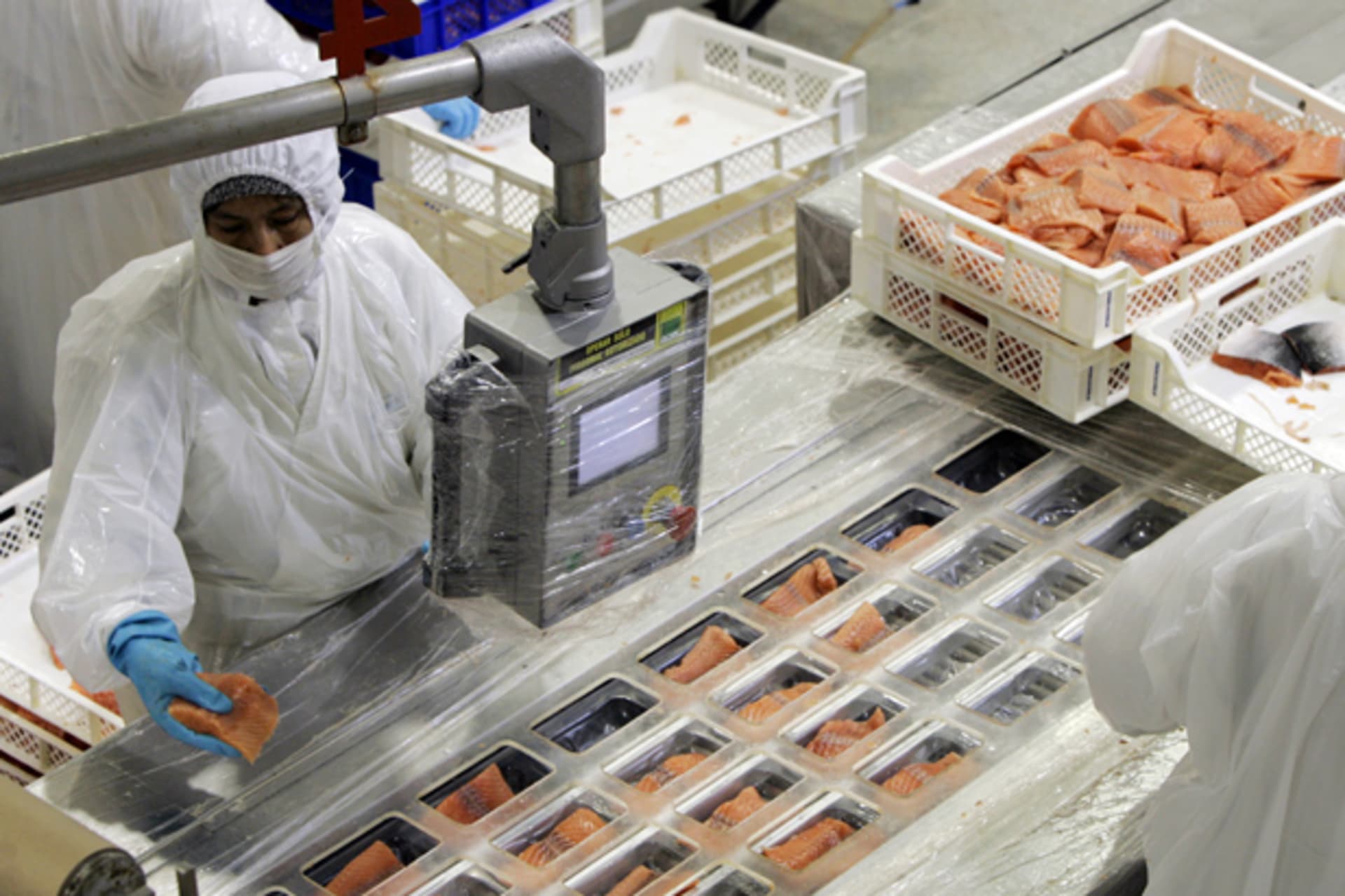 <p>Alfred Marshall, Michael Porter, Queretaro aerospace, Chile salmon, Start-Up Chile, Clusters</p>
