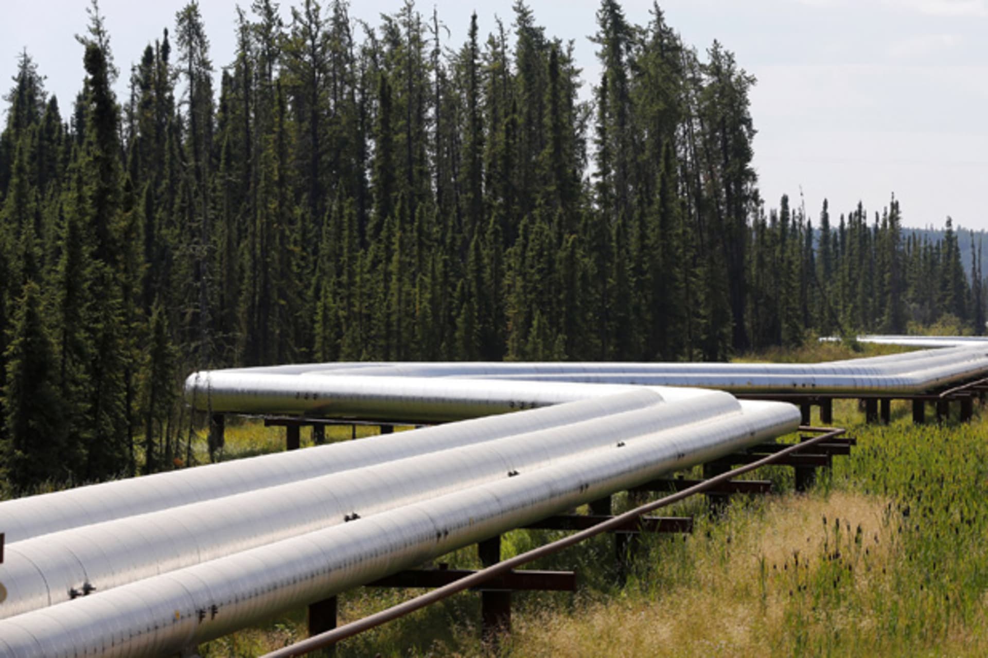 <p>Oil Pipelines</p>
