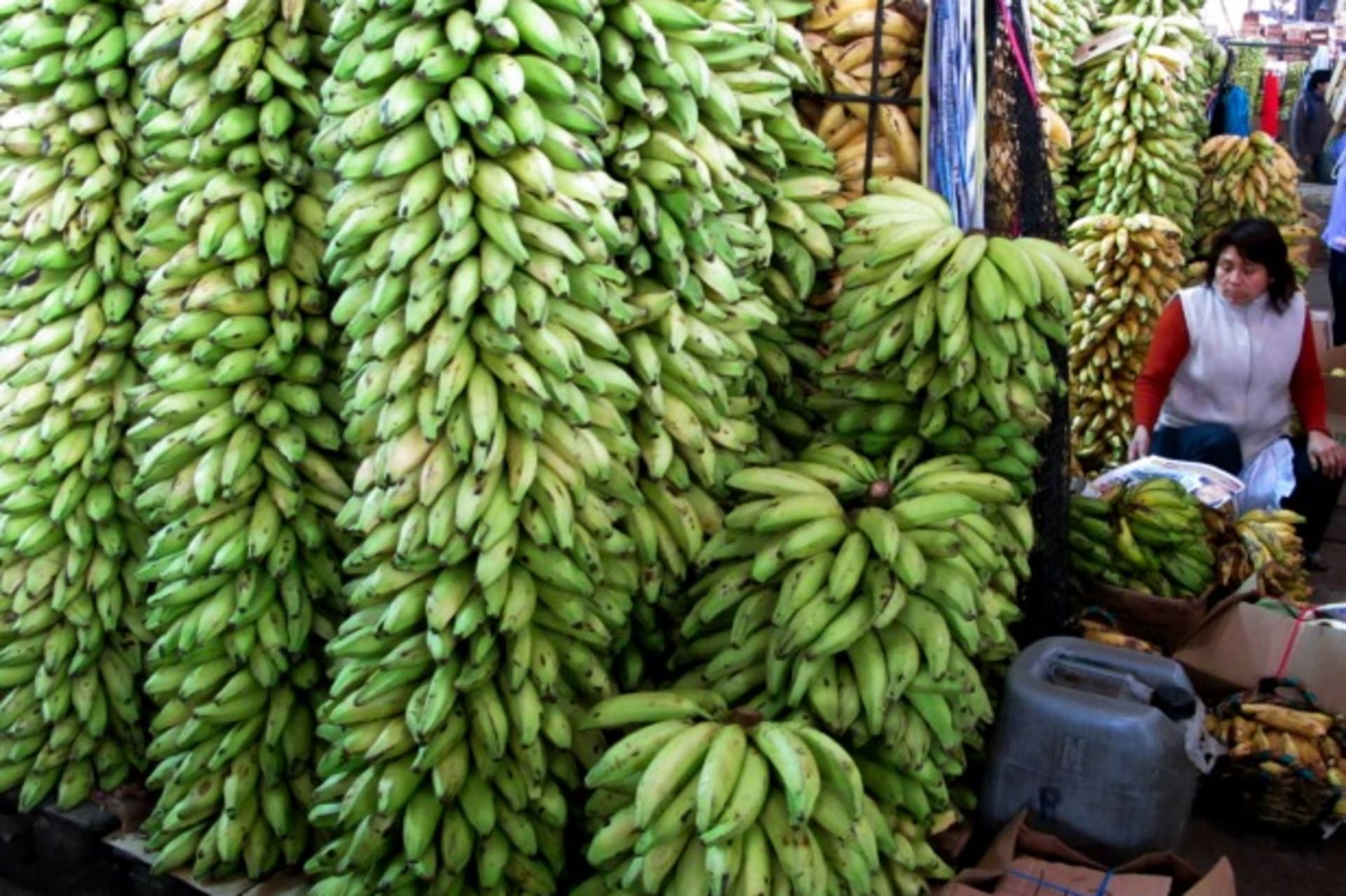 <p>A seller sits near a stand of bananas in Lima, Peru, June 2010 (Courtesy Reuters/Mariana Bazo).</p>