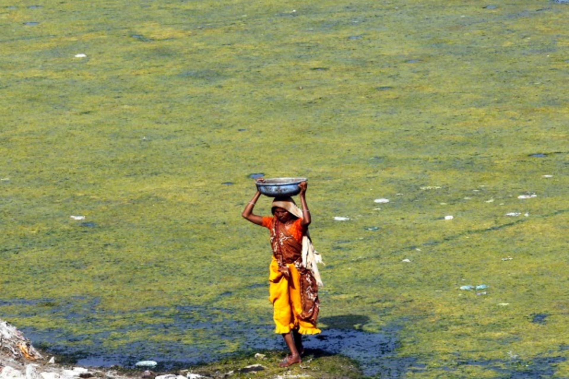 <p>A woman carries water from the polluted Sabarmati river in Ahmedabad, India, May 2013 (Courtesy Reuters/Amit Dave).</p>
