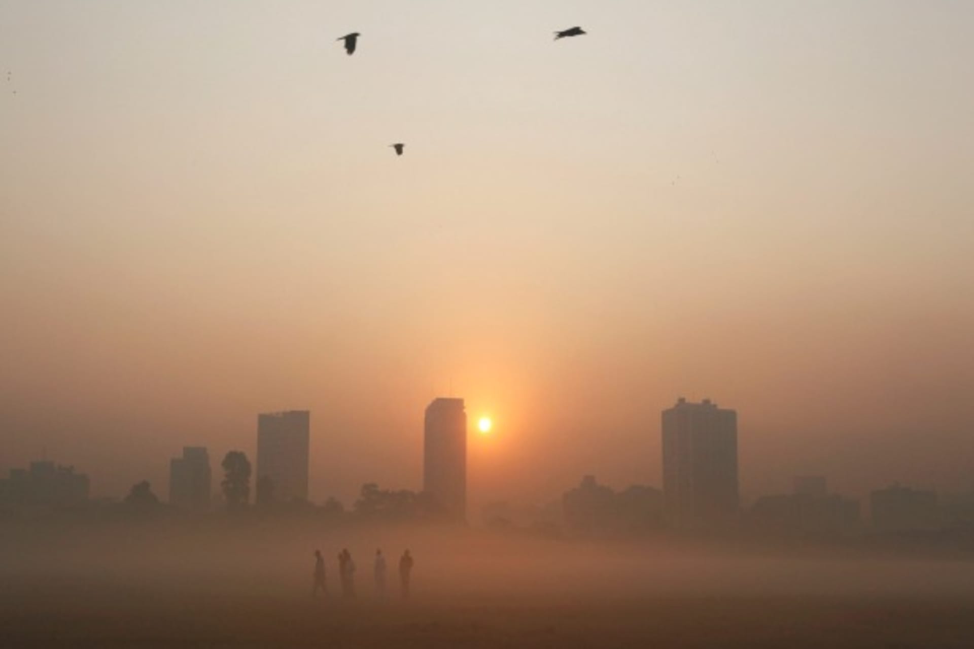 <p>Morning in the city of Kolkata, India, November 2012 (Rupak De Chowdhuri/Courtesy Reuters).</p>
