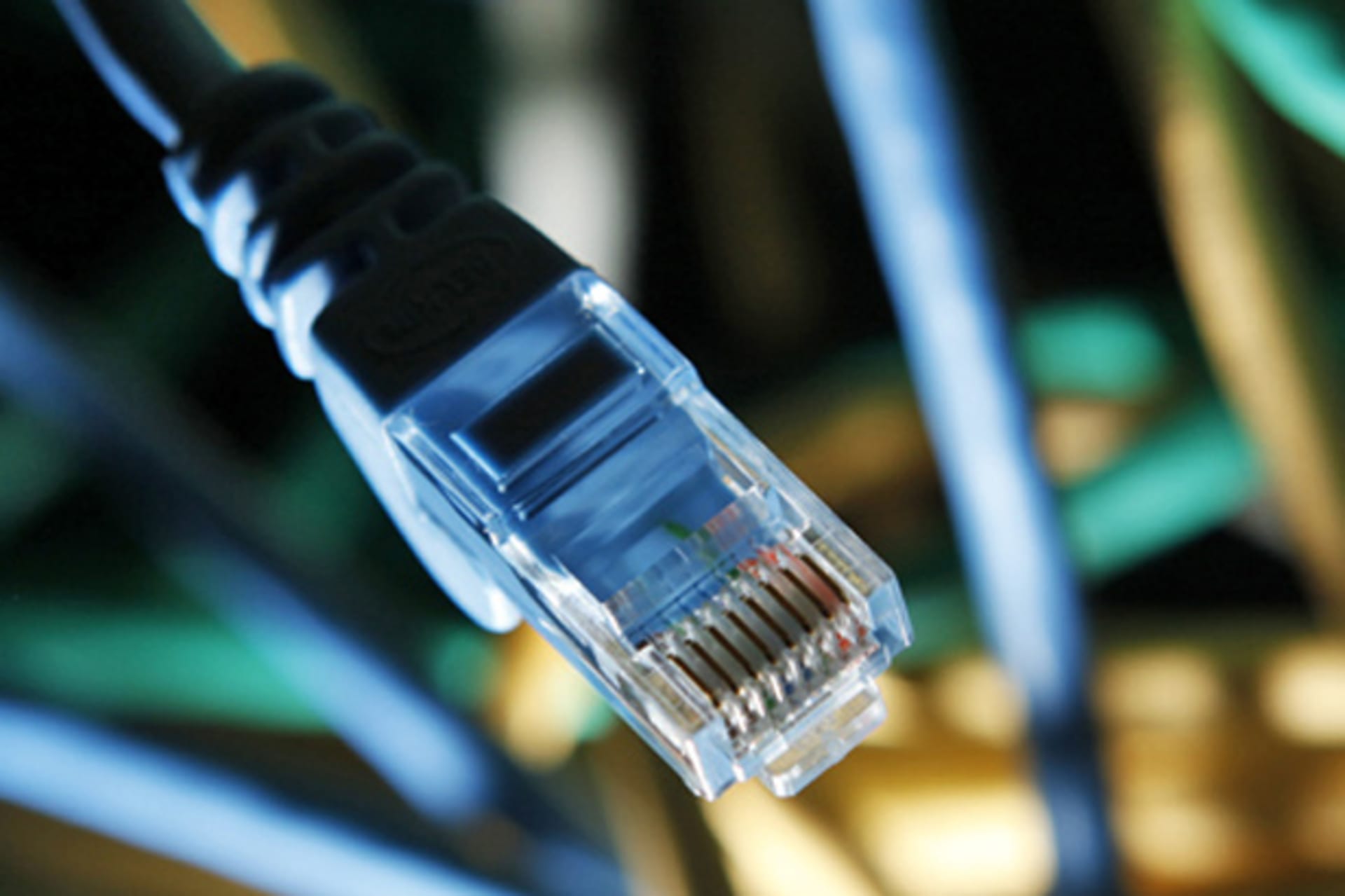 <p>An internet cable is seen at a server room (Kacper Pempel/Courtesy Reuters).</p>
