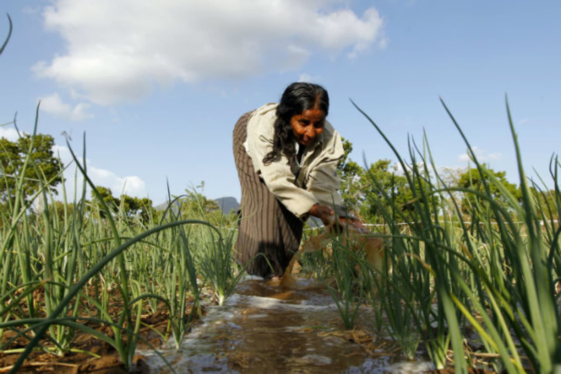Irrigation-water-agriculture-food-security-USAID-development-Sri-Lanka