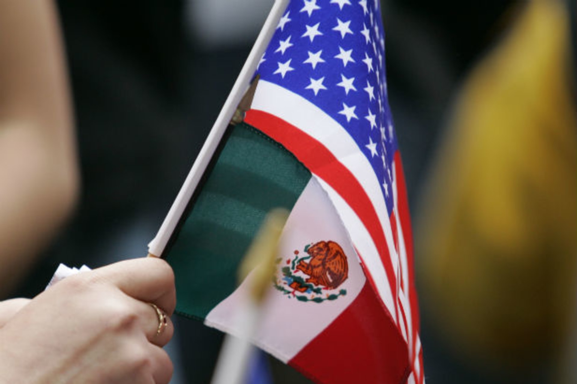<p>A woman holds a Mexican flag and a U.S. flag at a May Day rally for immigrants’ and workers’ rights in Portland, Oregon, May 1, 2007.</p>