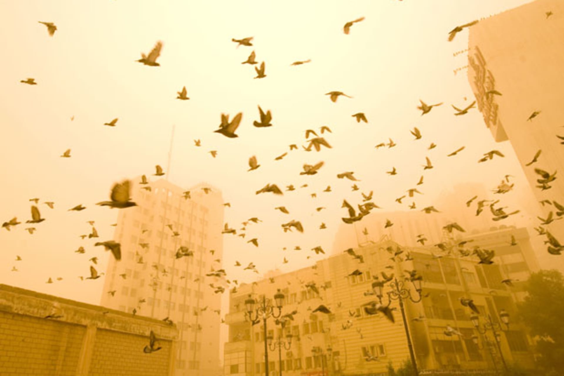 WeekendReading020813