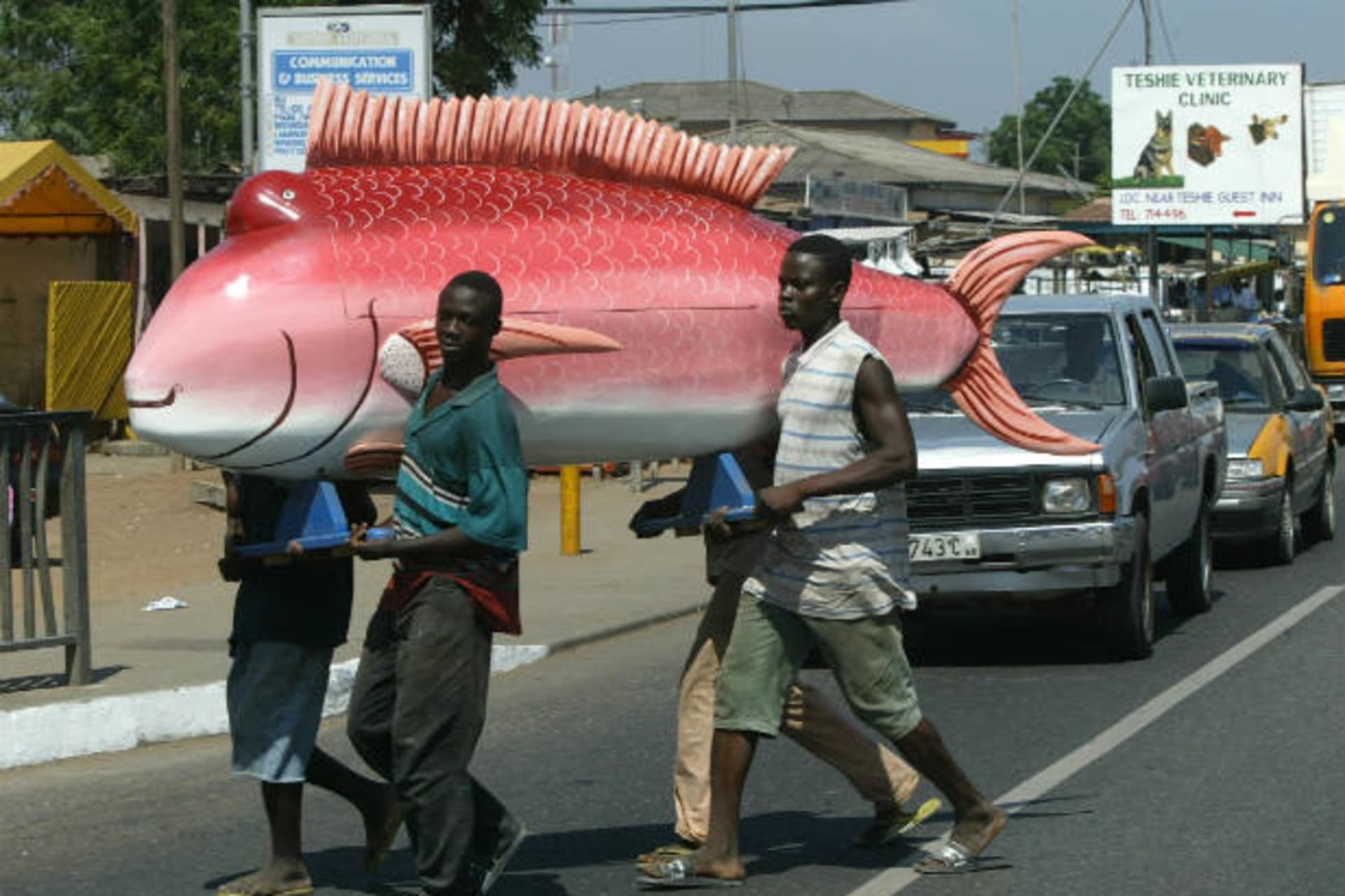 <p>Carpenters carry a coffin shaped in the form of a fish over the main road in Teshie, a suburb of the Ghanaian capital of Accra…orate, brightly colored coffins have become an art form. Picture taken on January 22, 2004 (Wolfgang Rattay/Courtesy Reuters).</p>
