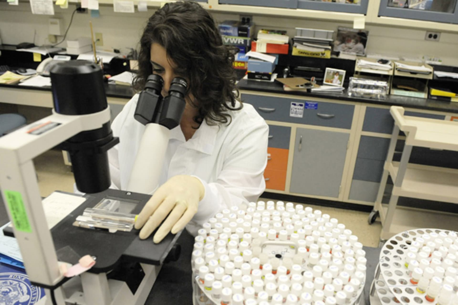 <p>A scientist uses a microscope to check cultures for signs of the H1N1 swine flu virus and other respiratory diseases at the Maryland Department of Health and Mental Hygiene in Baltimore (Jonathan Ernst/Courtesy Reuters).</p>
