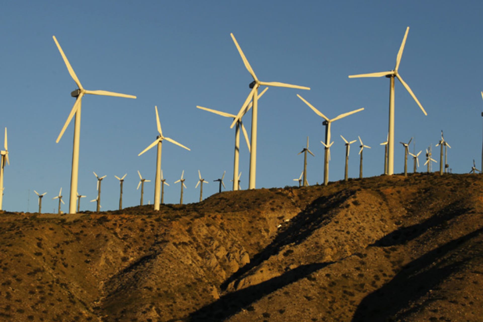 <p>Windmills at a wind farm in Palm Springs, California (Lucy Nicholson/Courtesy Reuters).</p>
