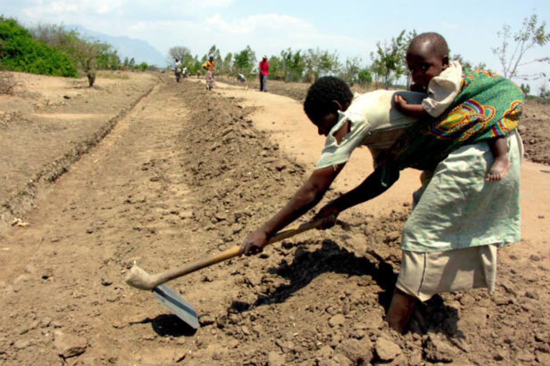malawi-food-insecurity-crops-drought-joyce-banda