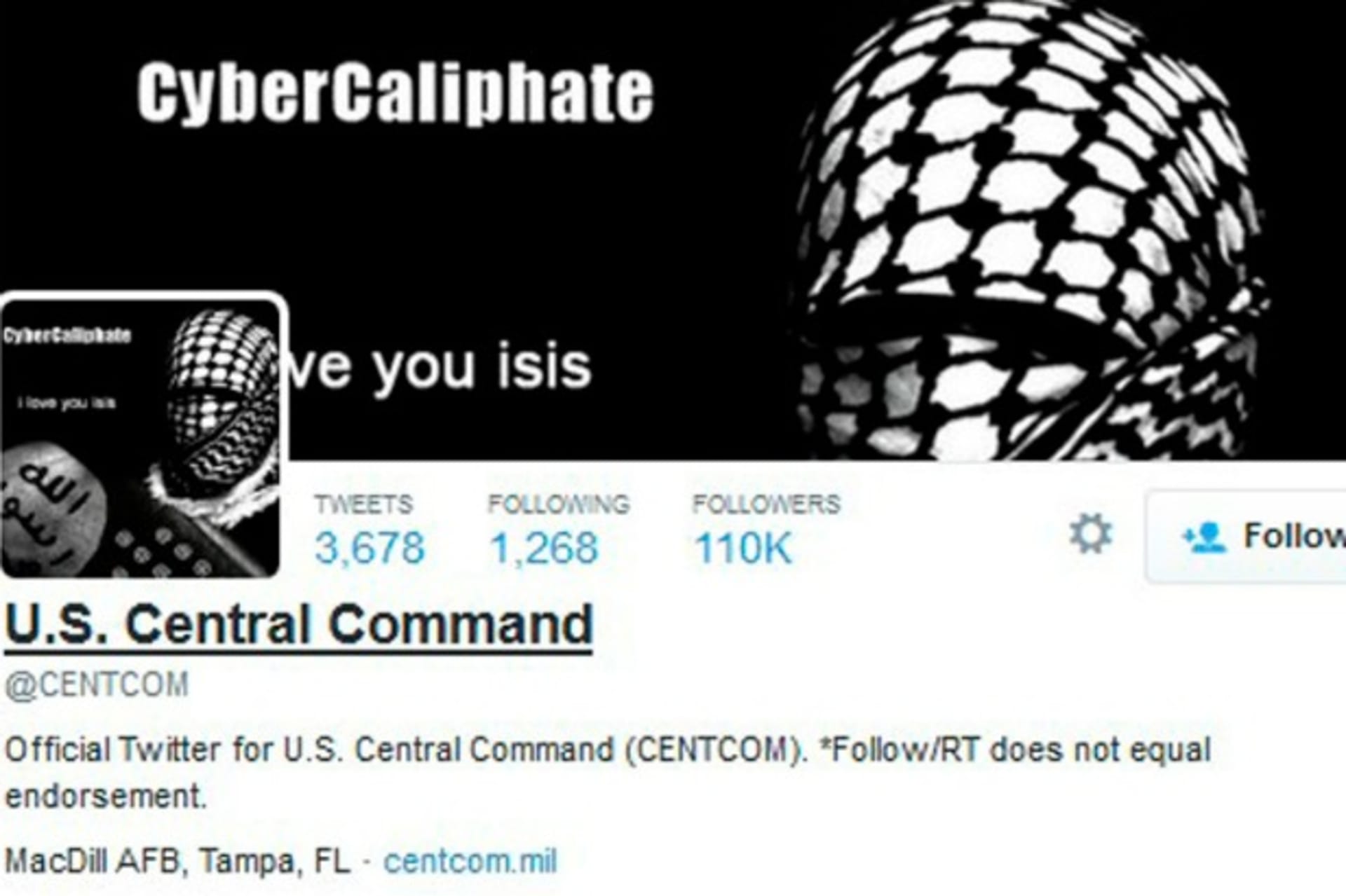 <p>ISIS Twitter Cyber CFR Net Politics</p>
