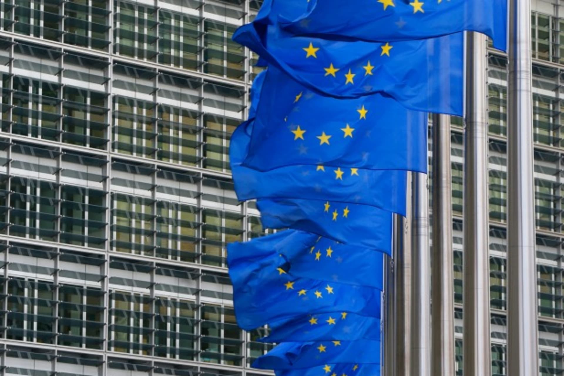 <p>EU Digital Single Market Strategy Net Politics CFR Fidler</p>
