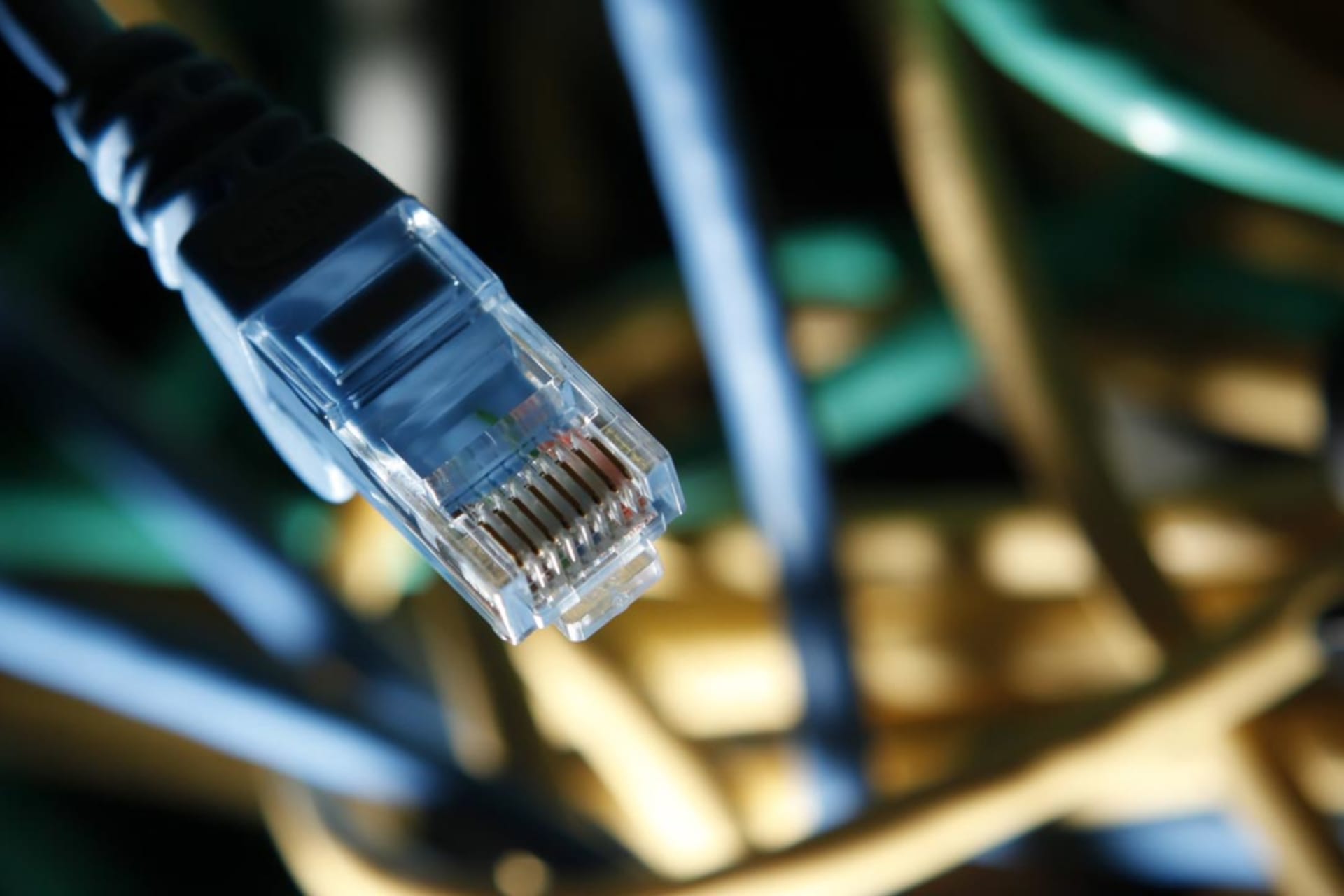 <p>An internet cable in a server room. </p>