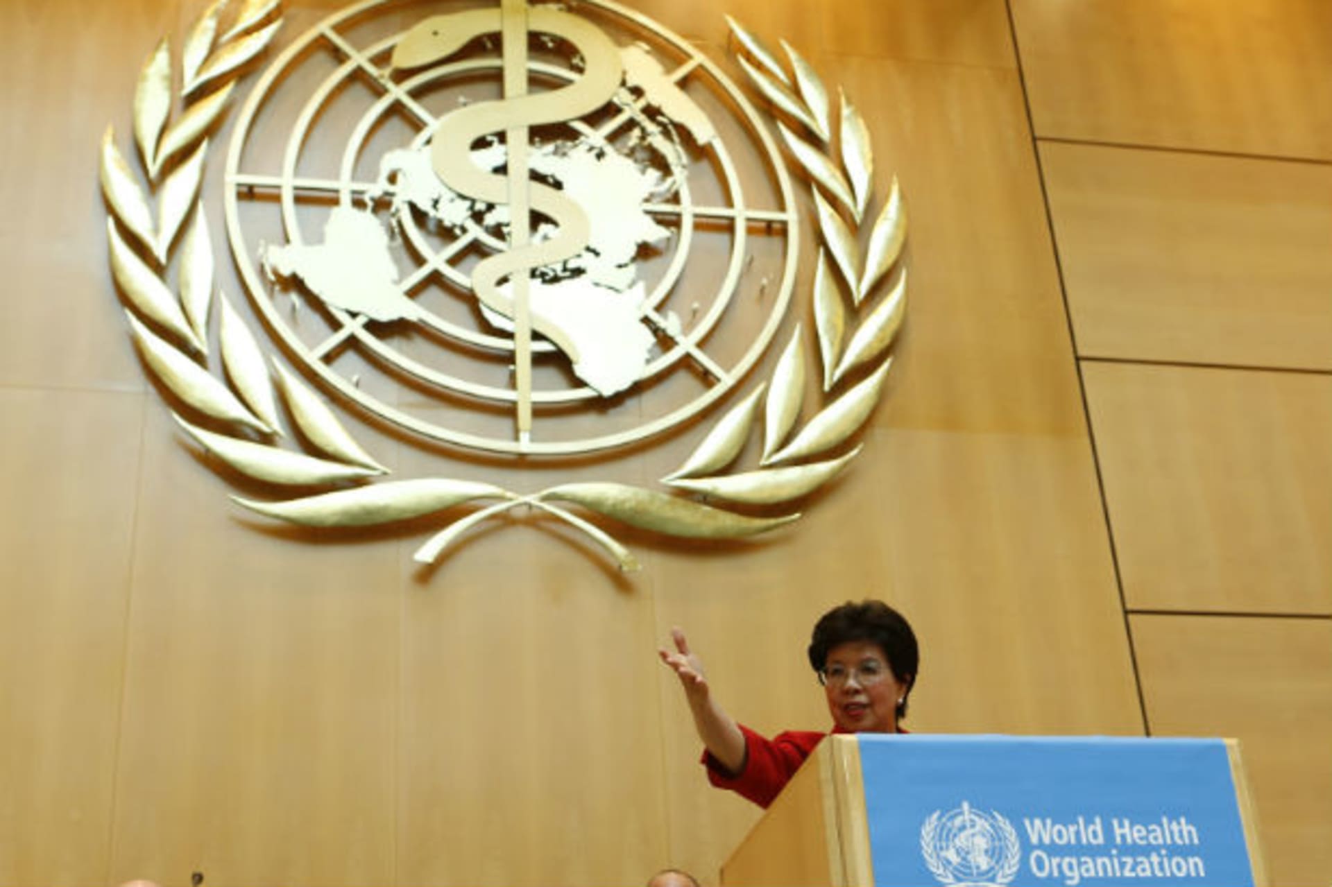 <p>World Health Organization (WHO) Director-General Margaret Chan gestures during her address to the sixty-seventh World Health Assembly at the United Nations European headquarters in Geneva, Switzerland, on May 19, 2014.</p>
