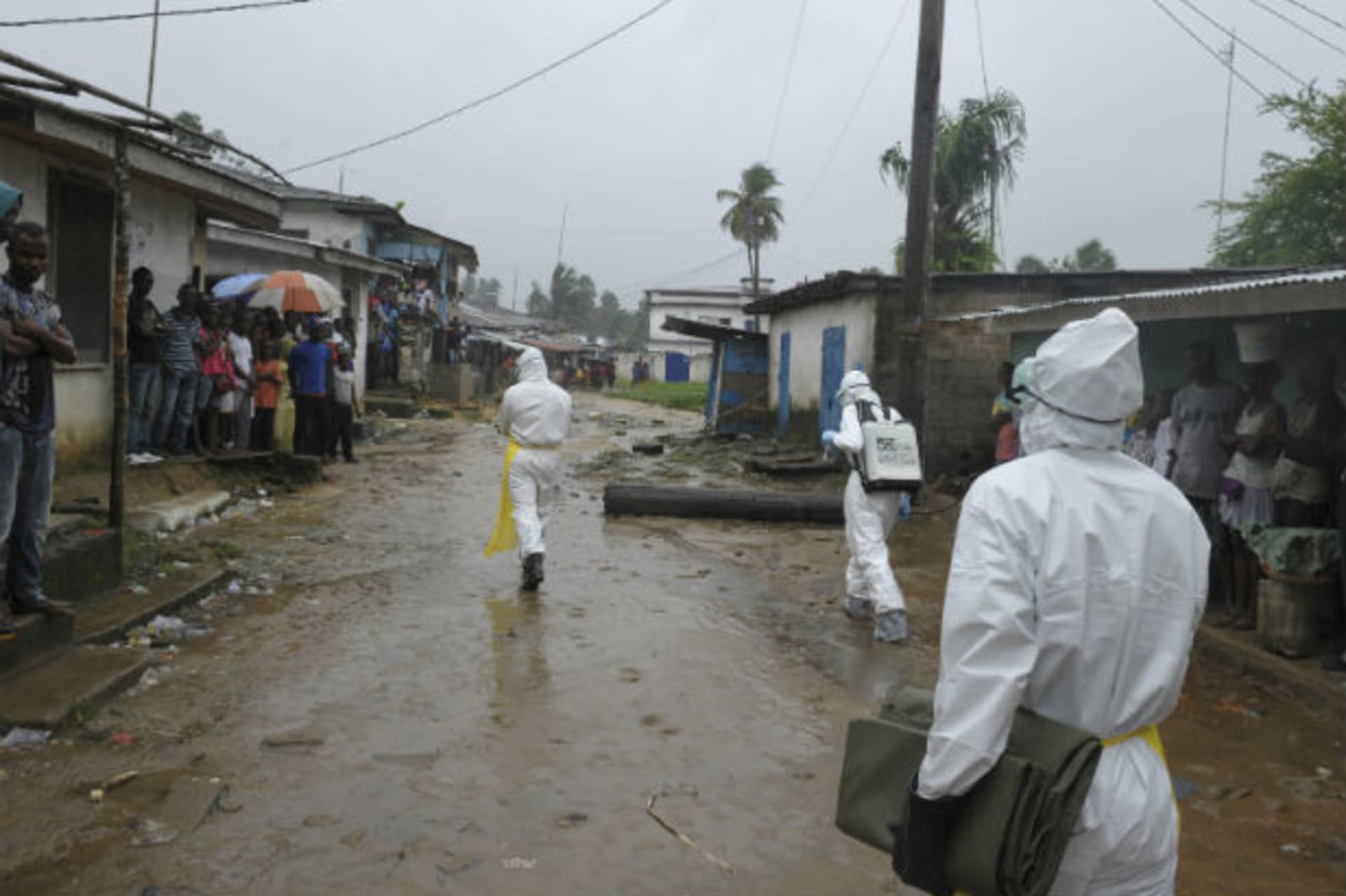 Ebola image