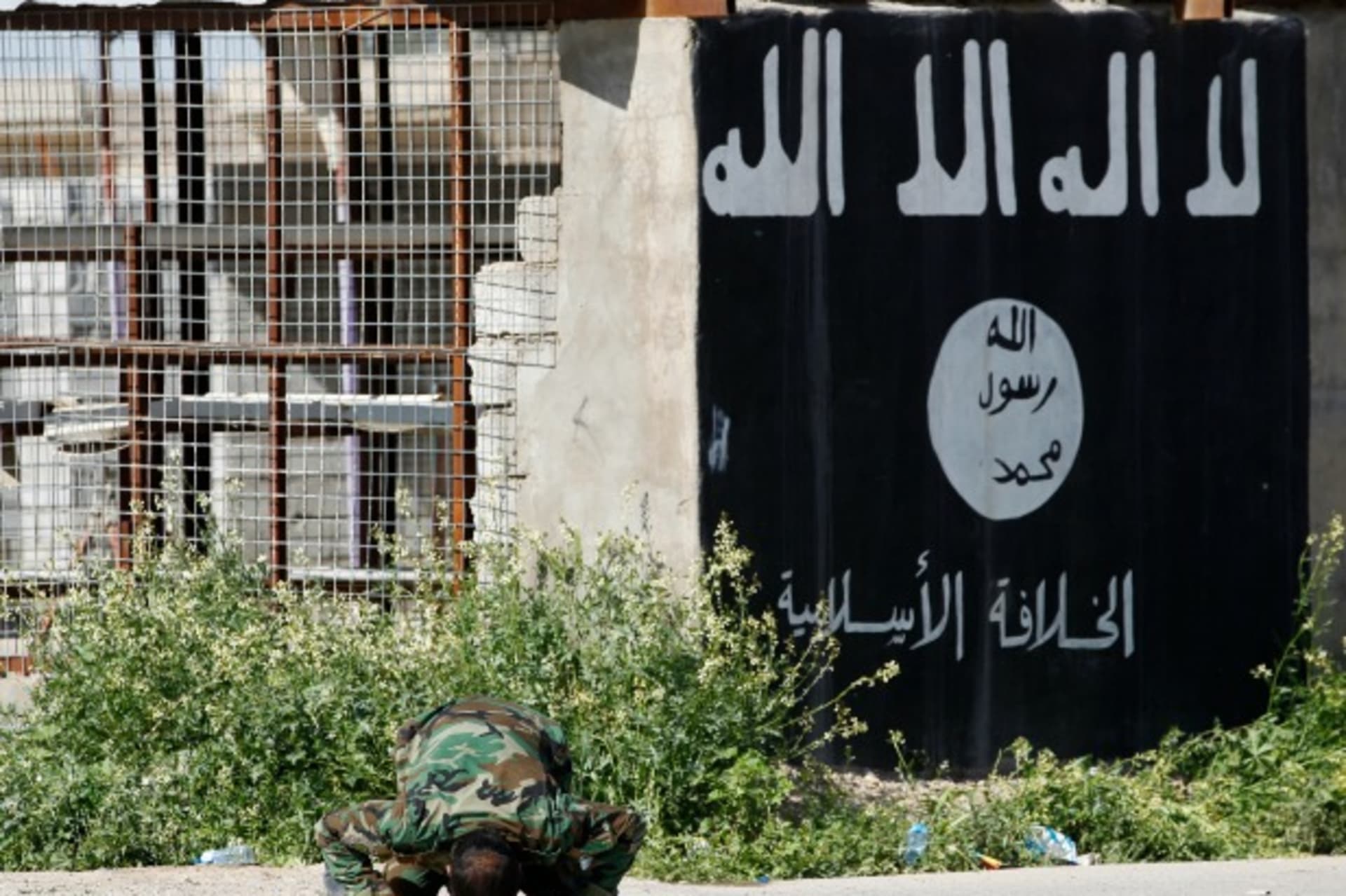 ISIS BH AQ