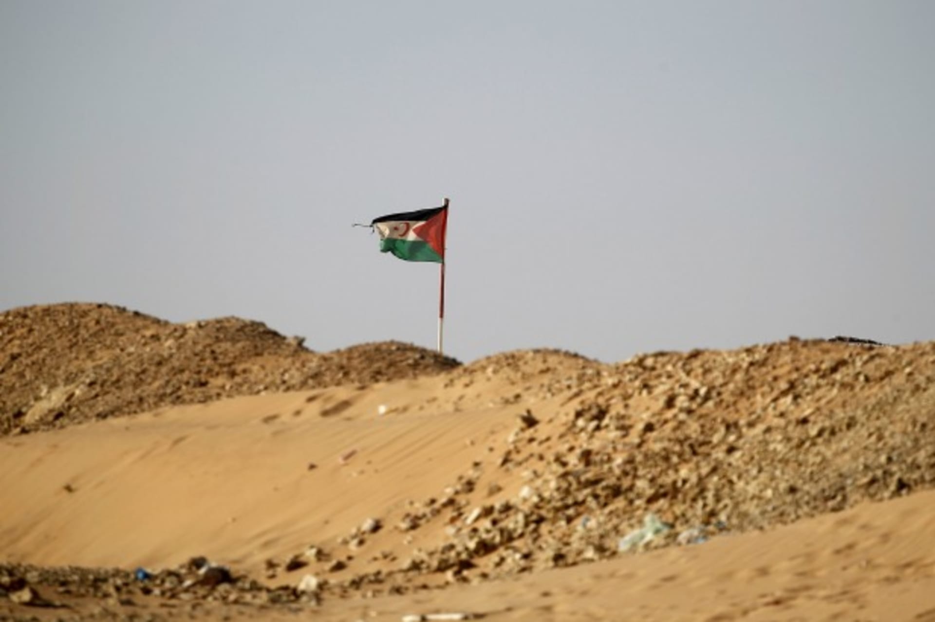 SADR_flag