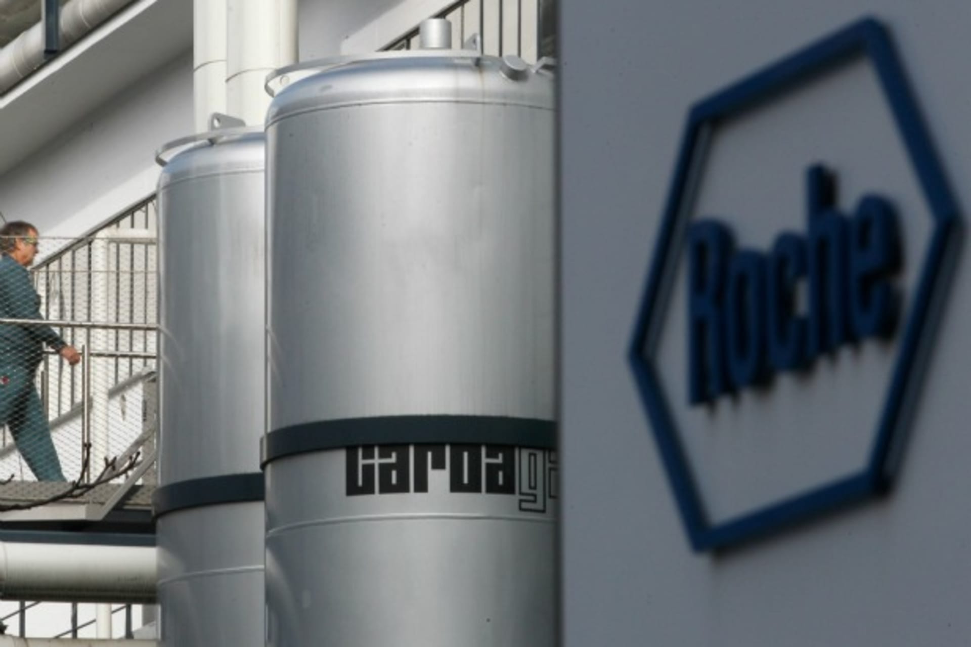 Roche plant