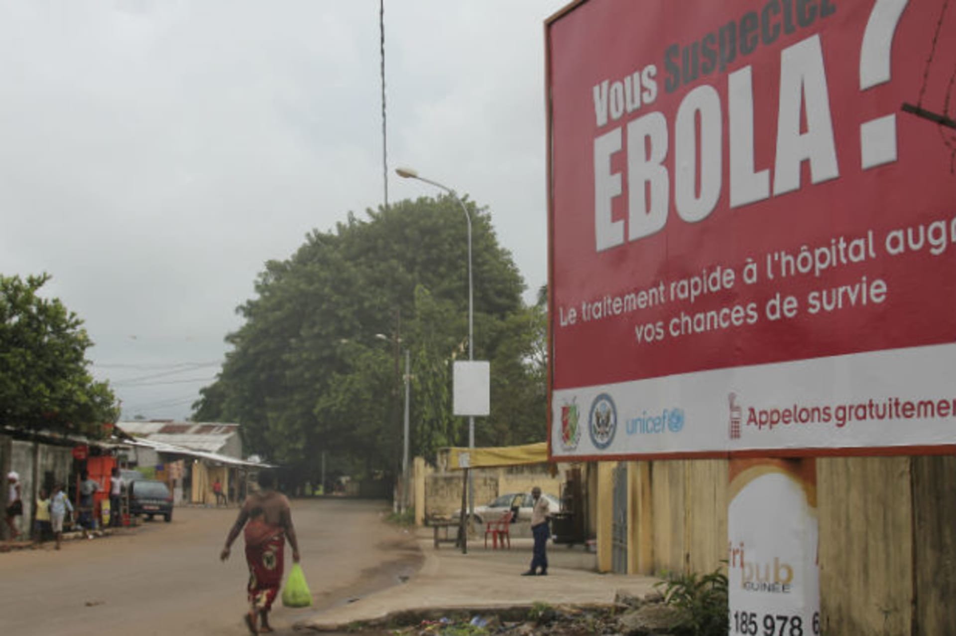 Ebola - posters Guinea