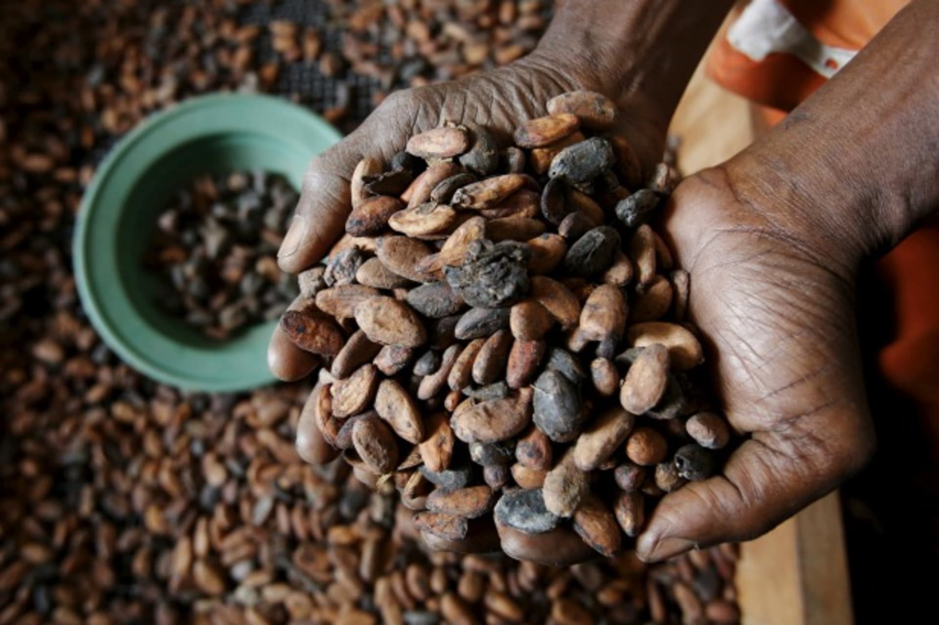 Ivory Coast Cocoa