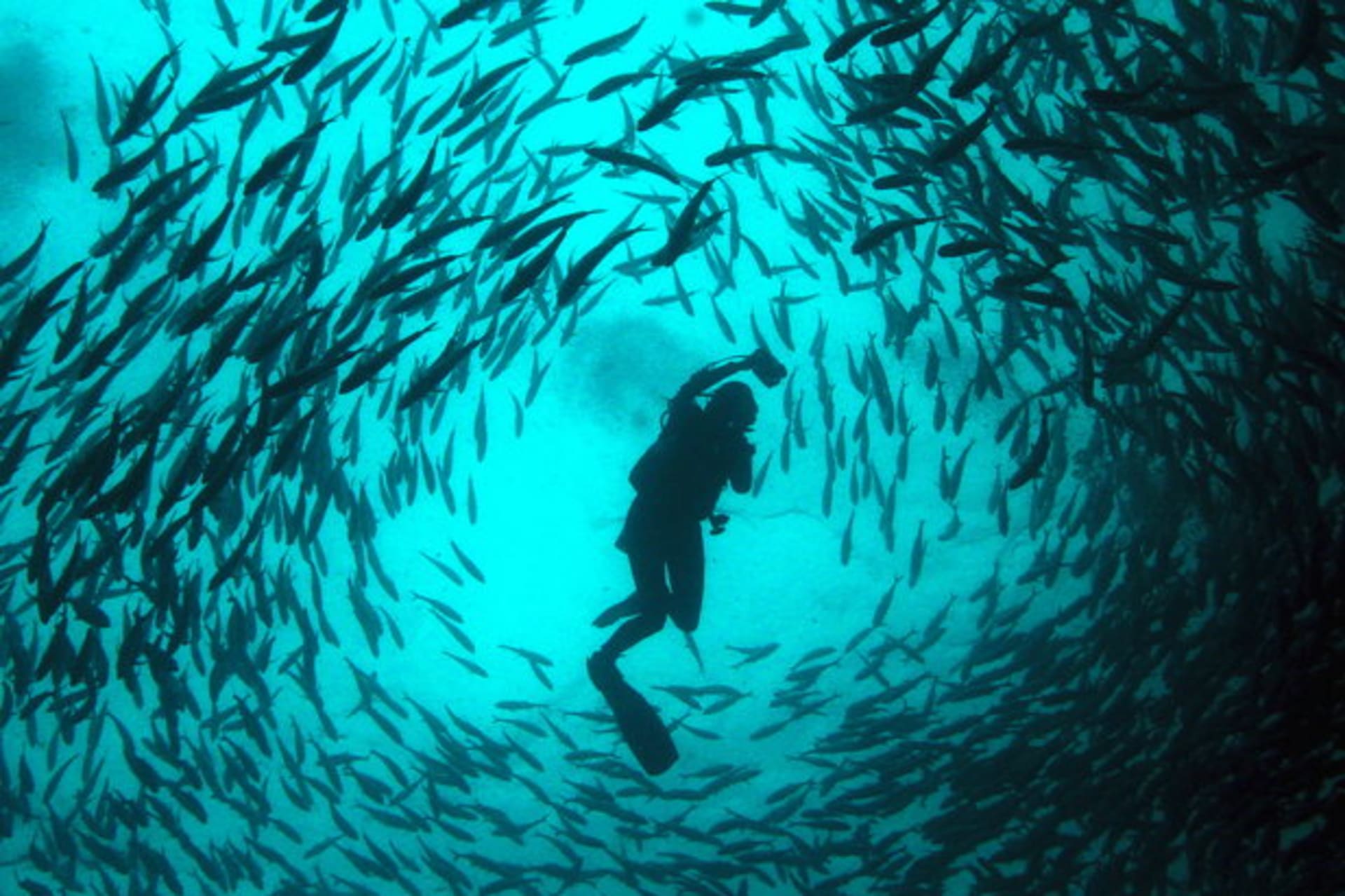 Our Ocean Summit