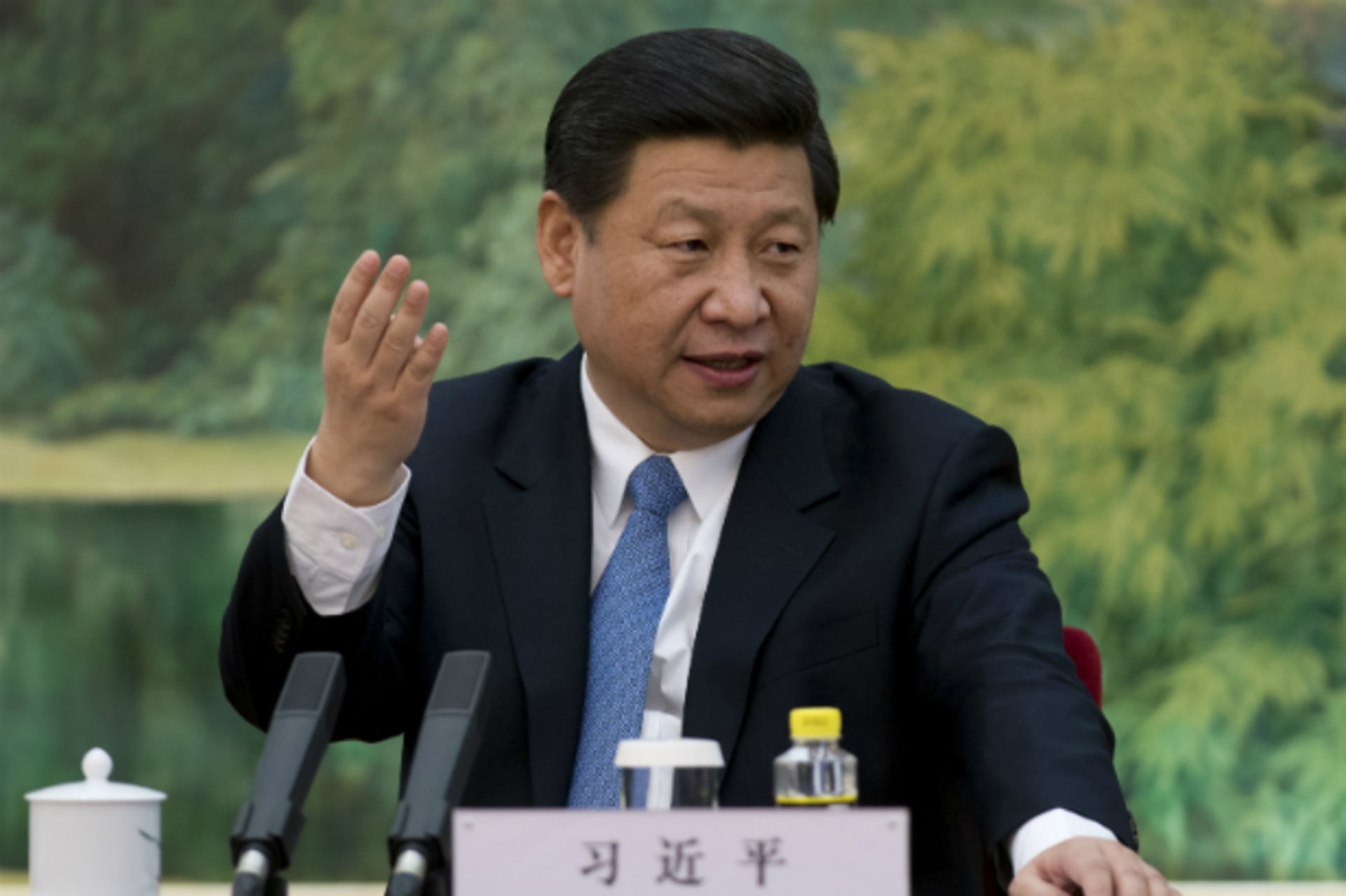 XiJinping1