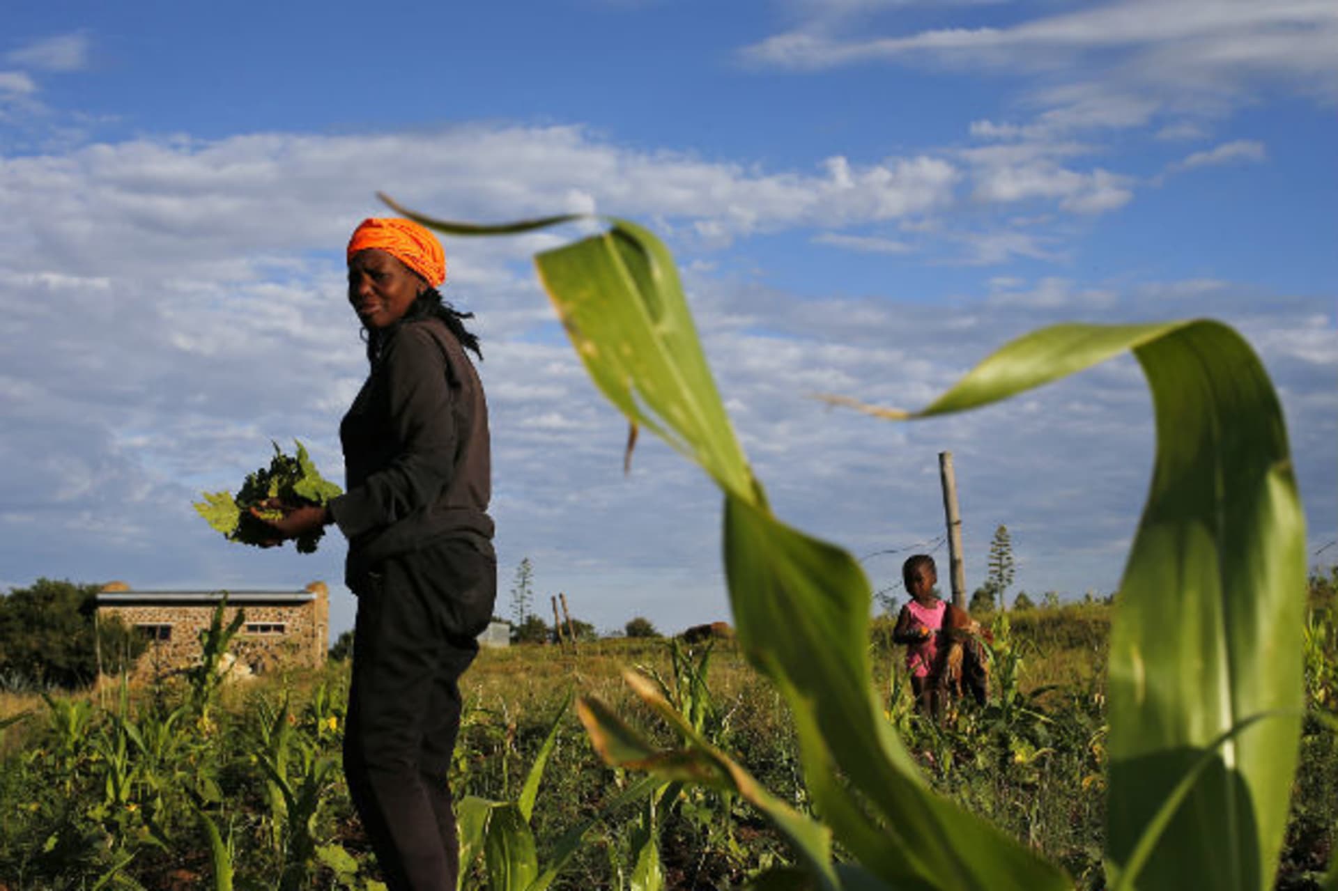 <p>A woman picks vegetables from her garden as her daughter looks on in a village east of Maseru, Lesotho, on February 27, 2015.</p>

