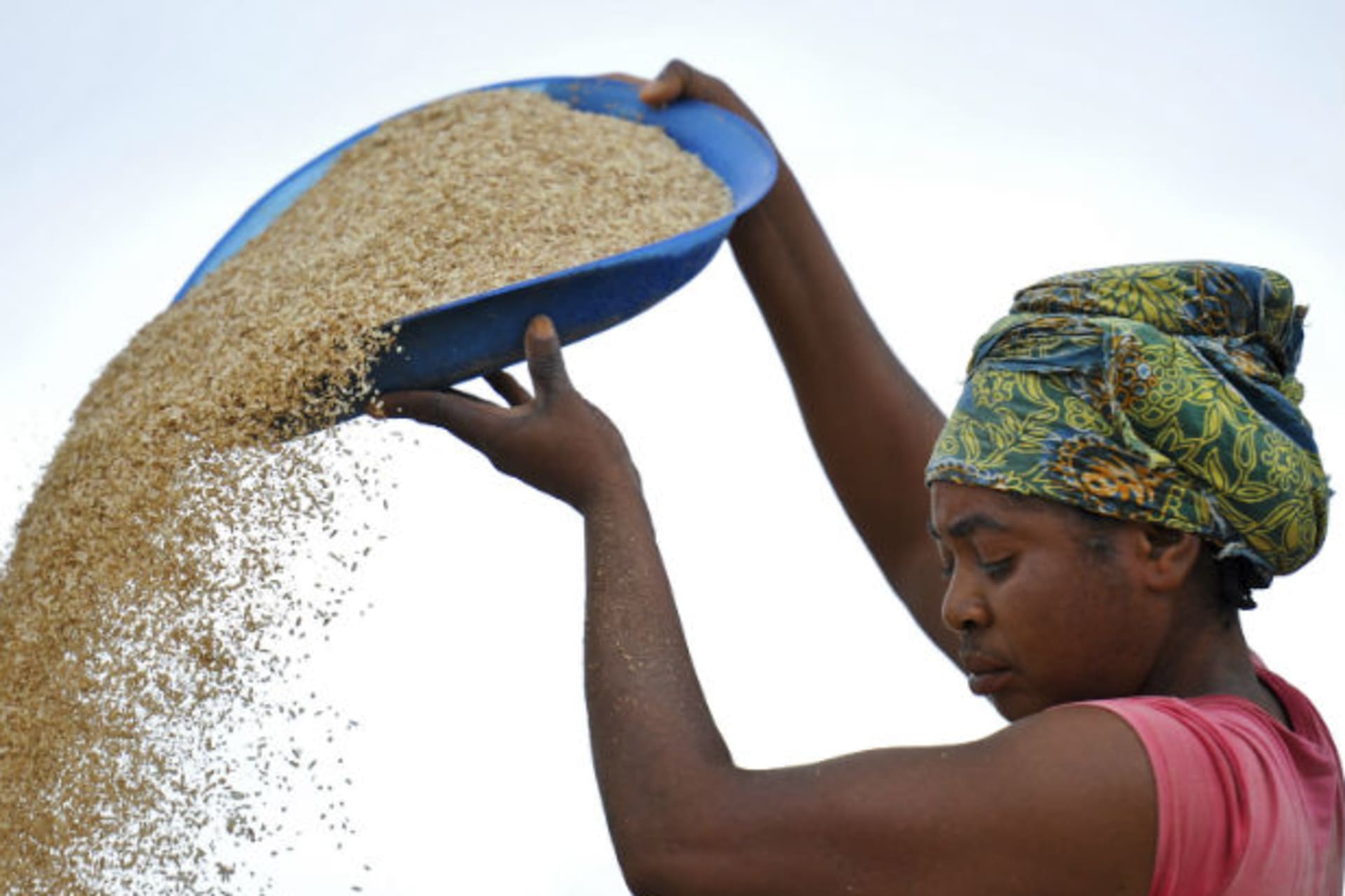 A woman works in a rice mill in Aliade community in the Gwer local government area of the central state of Benue 05/10/2012.