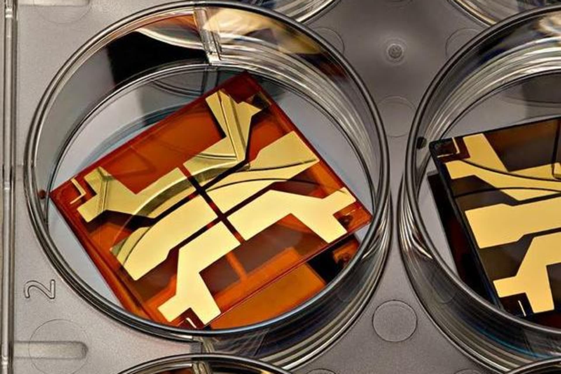<p>Solar perovskite cells, patterned with gold electrodes, await tests that measure their efficiency at converting sunlight into electricity</p>
