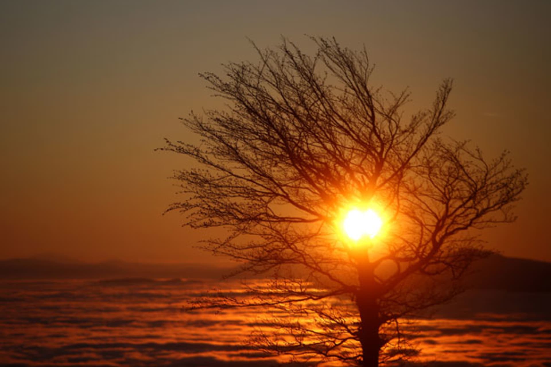 <p>World Figures Obituaries 2014 Sunset</p>
