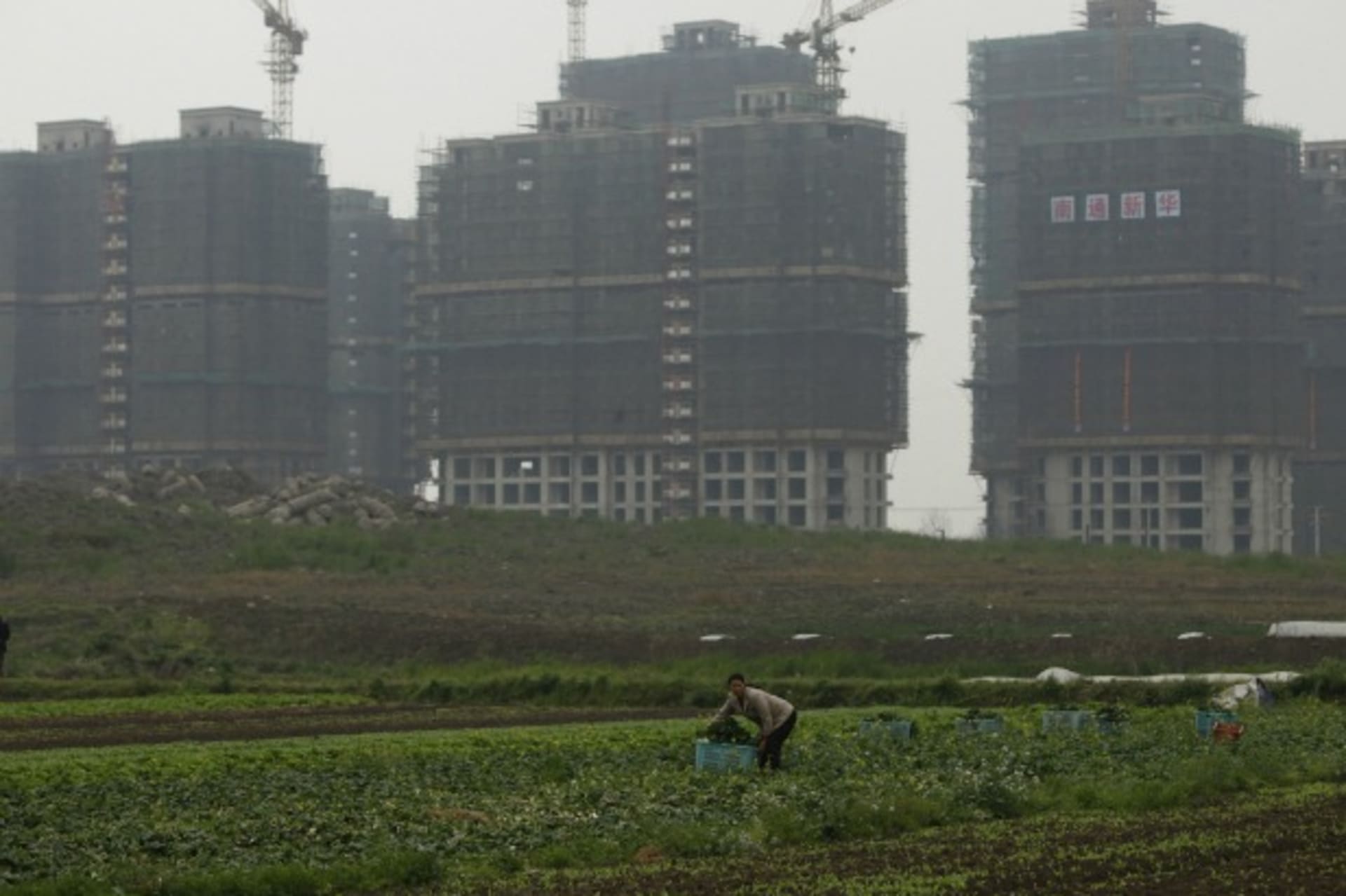 <p>A farmer works in her field in front of a residential construction site in Shanghai on April 25, 2012.</p>
