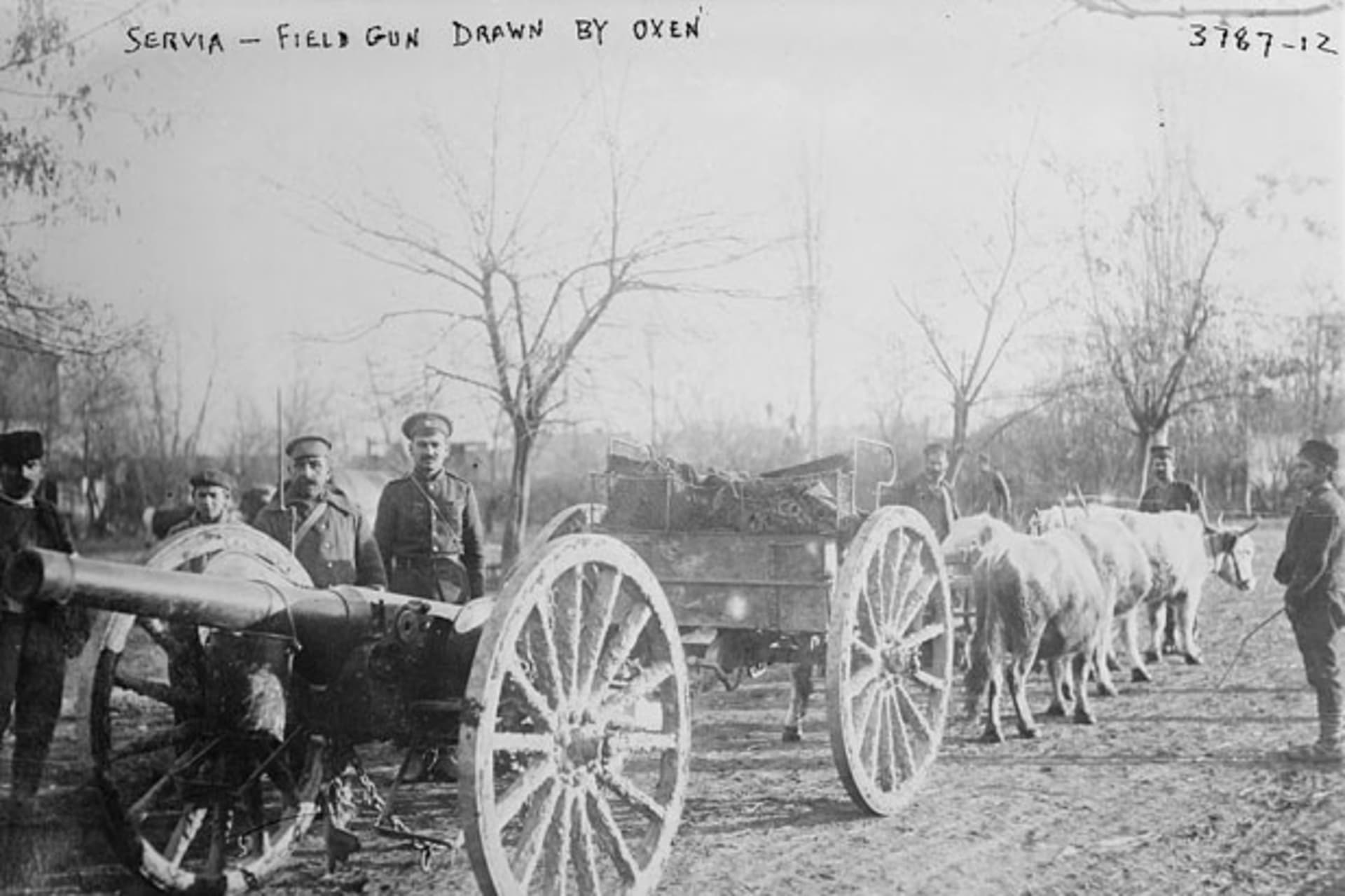 <p>Serbia Ultimatum Response Field Guns</p>
