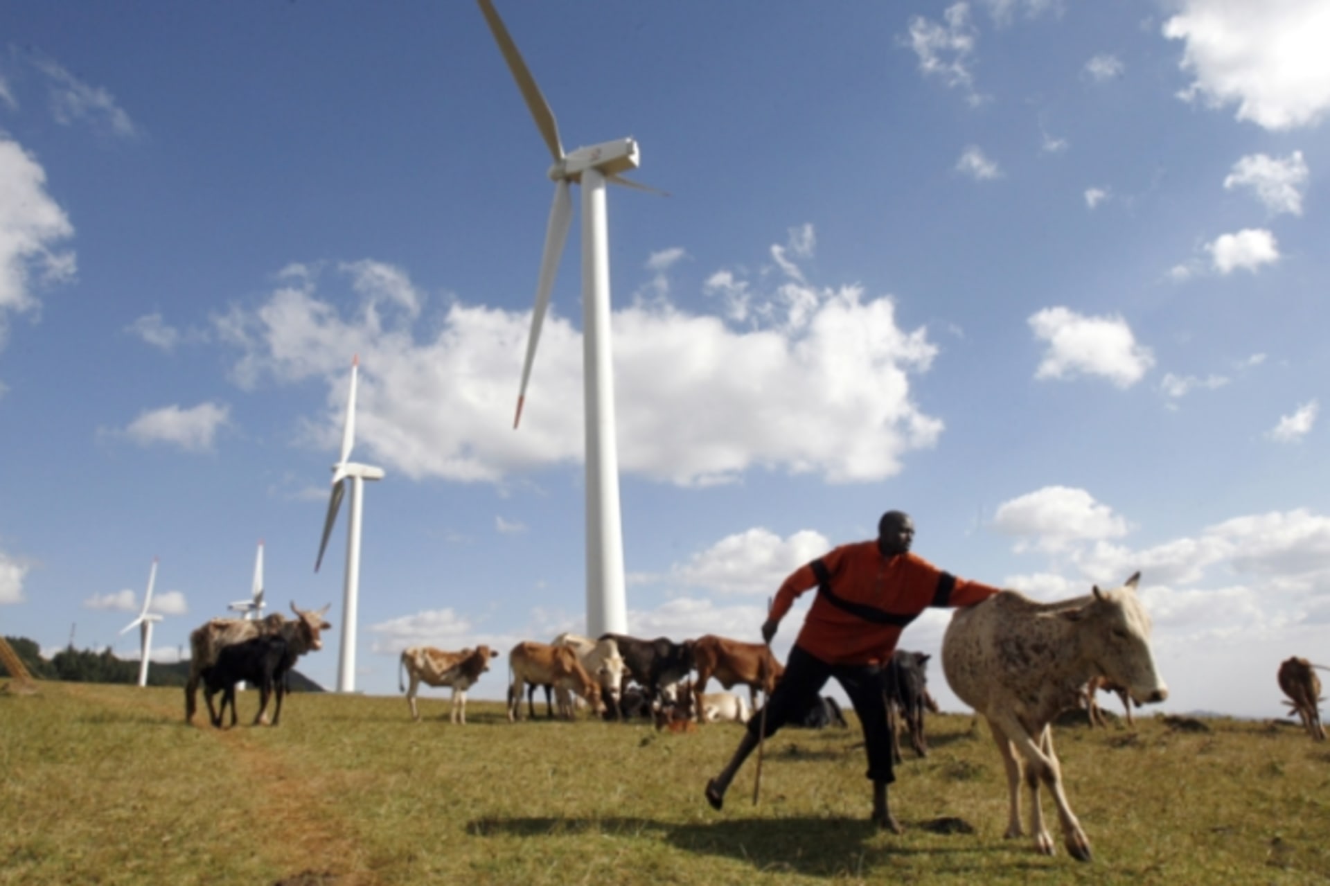 Kenya_Wind_Farm_Final