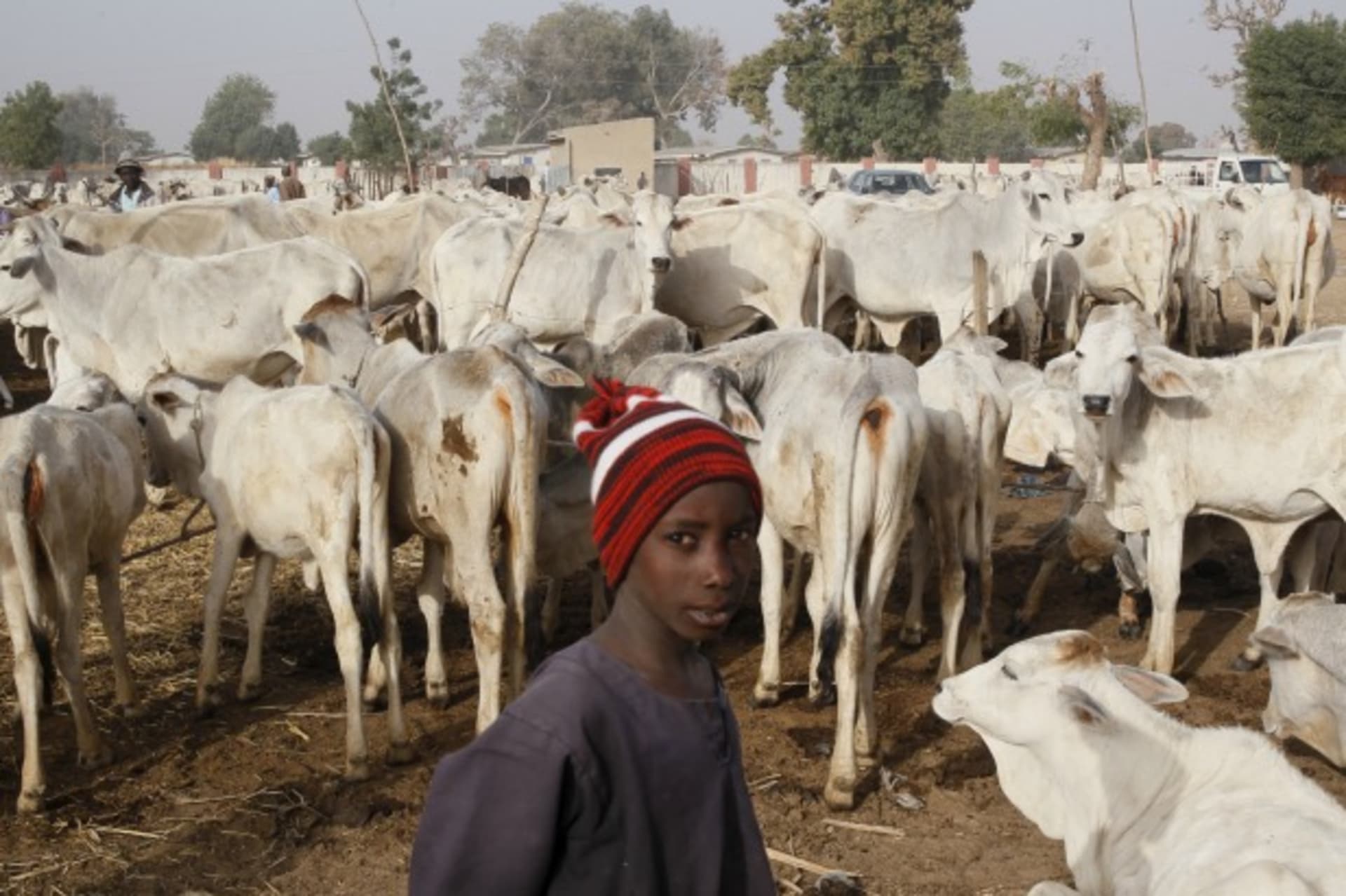 Fulani_herdsmen_boy
