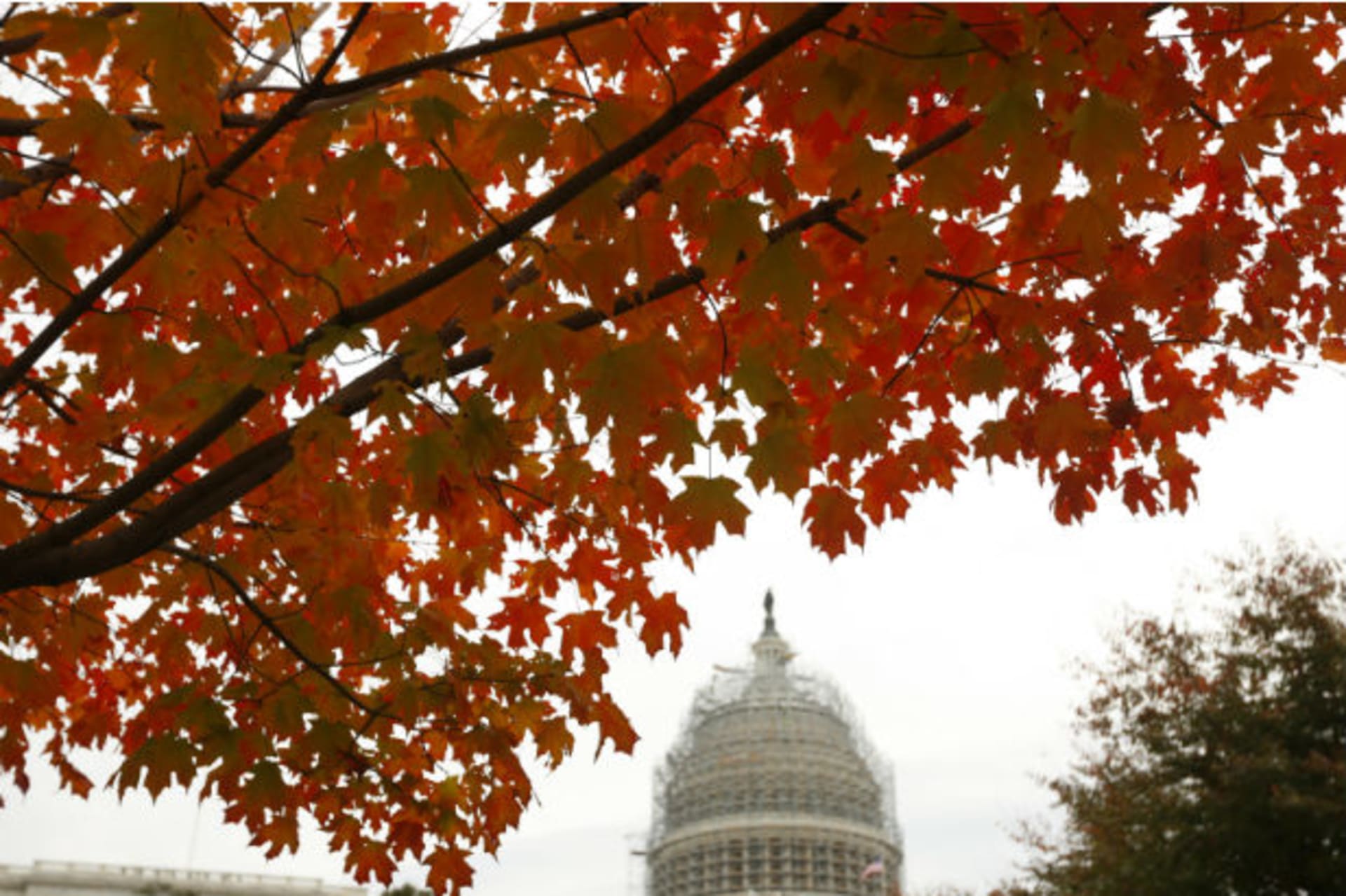Capitol_2014_Midterm_Elections