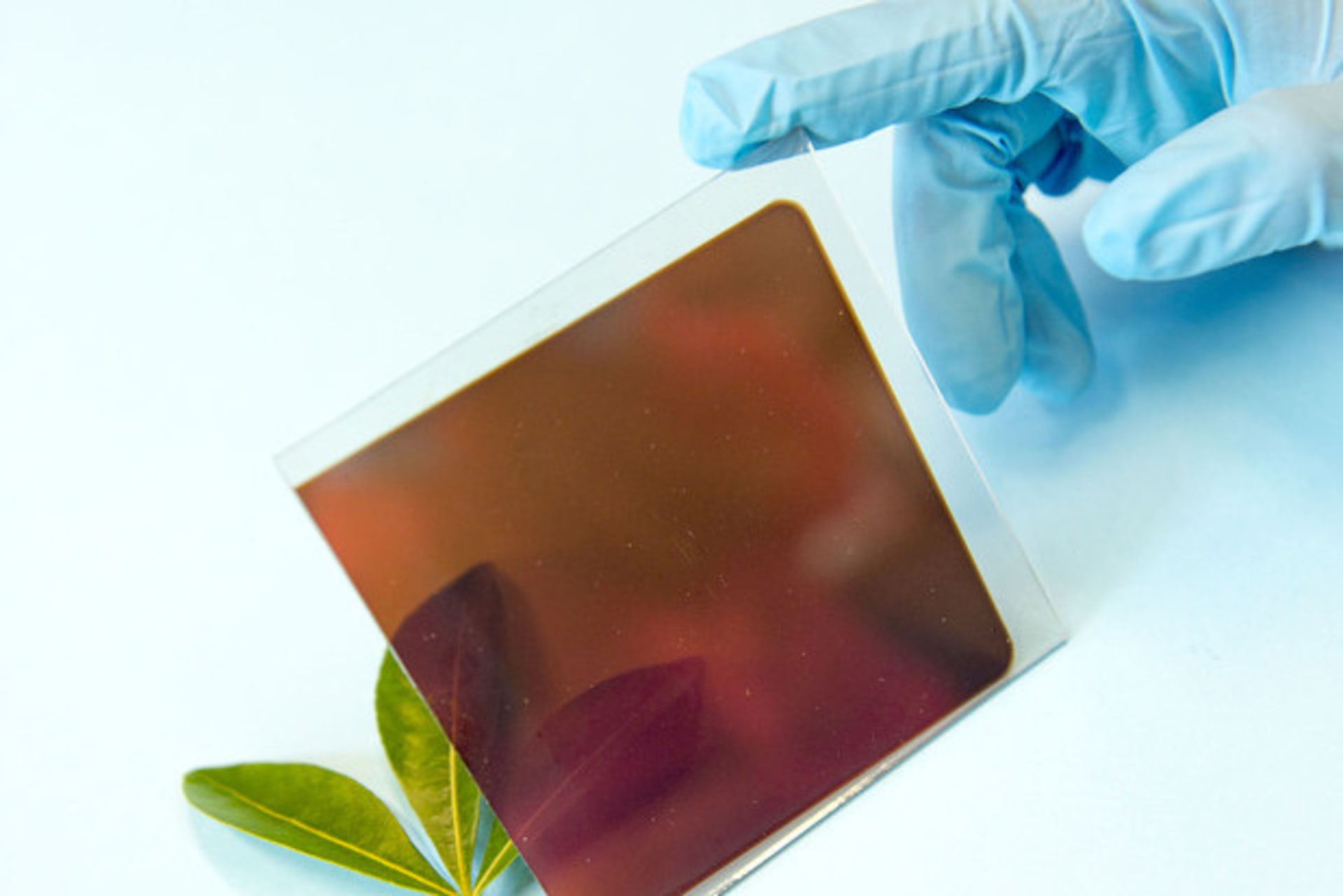 Perovskite Cell