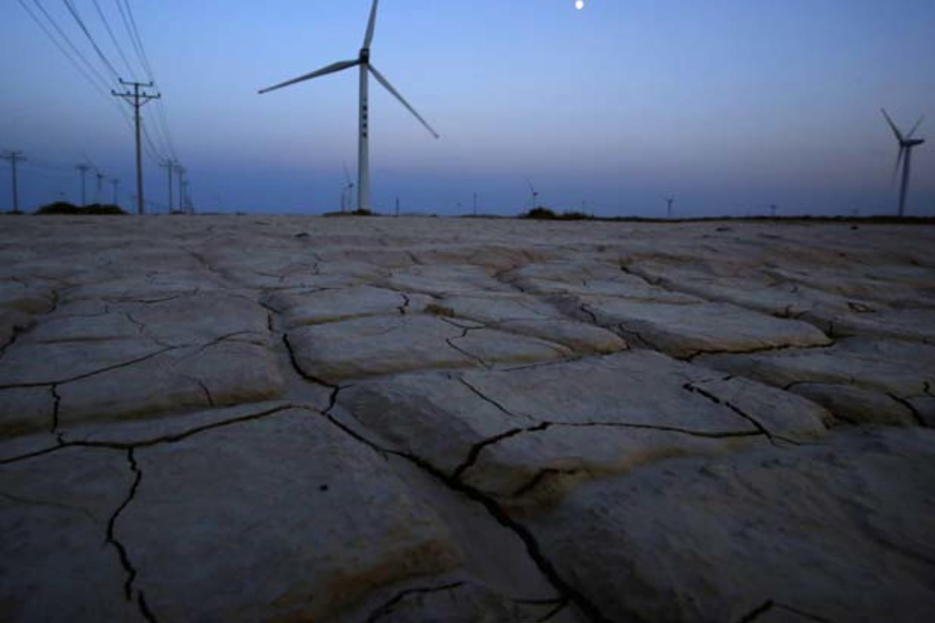 <p>A wind farm in Guazhou, China (Carlos Barria/Courtesy Reuters).</p>
