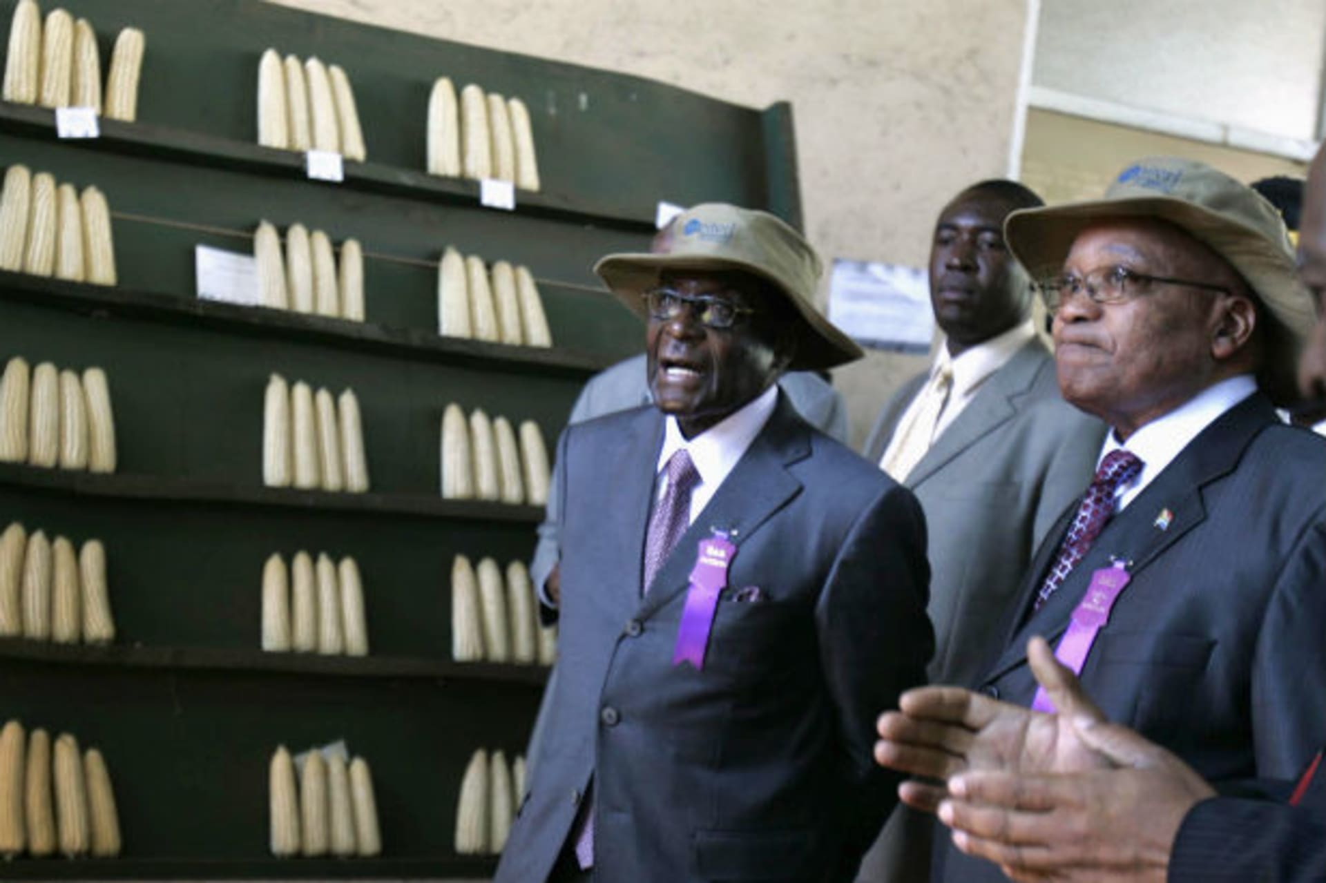 Africa - Mugabe and Zuma Walking