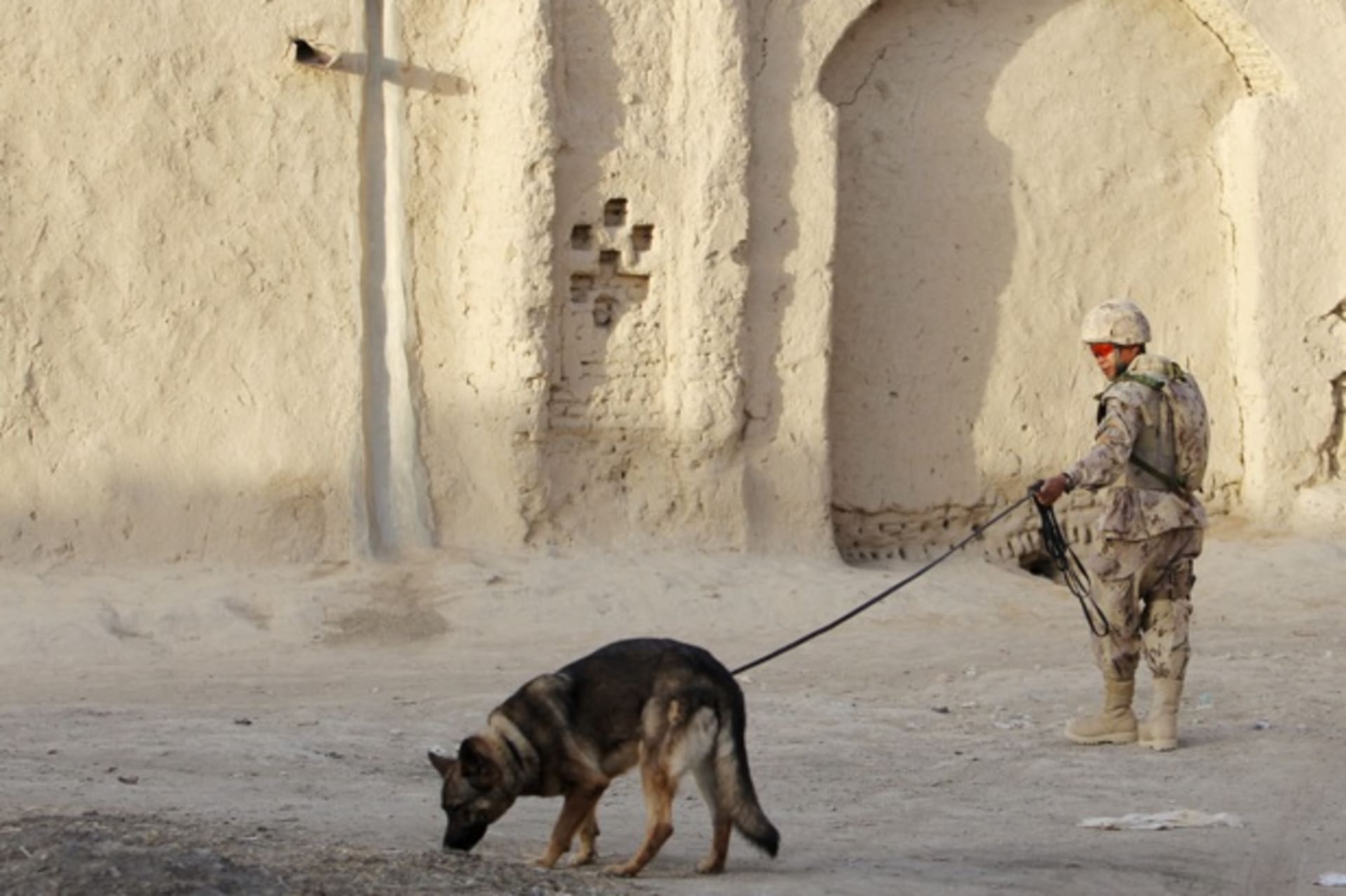 <p>A soldier patrols with his dog in a village in southern Afghanistan (Denis Sinyakov/Courtesy Reuters).</p>
