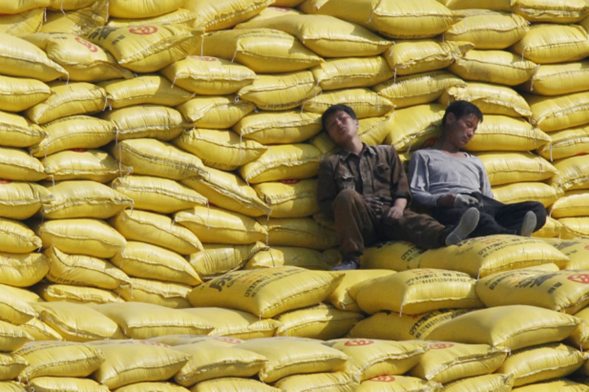North Korean workers nap on piles of fertilizer shipped from China on the banks of Yalu River near the North Korean town of Sinuiju