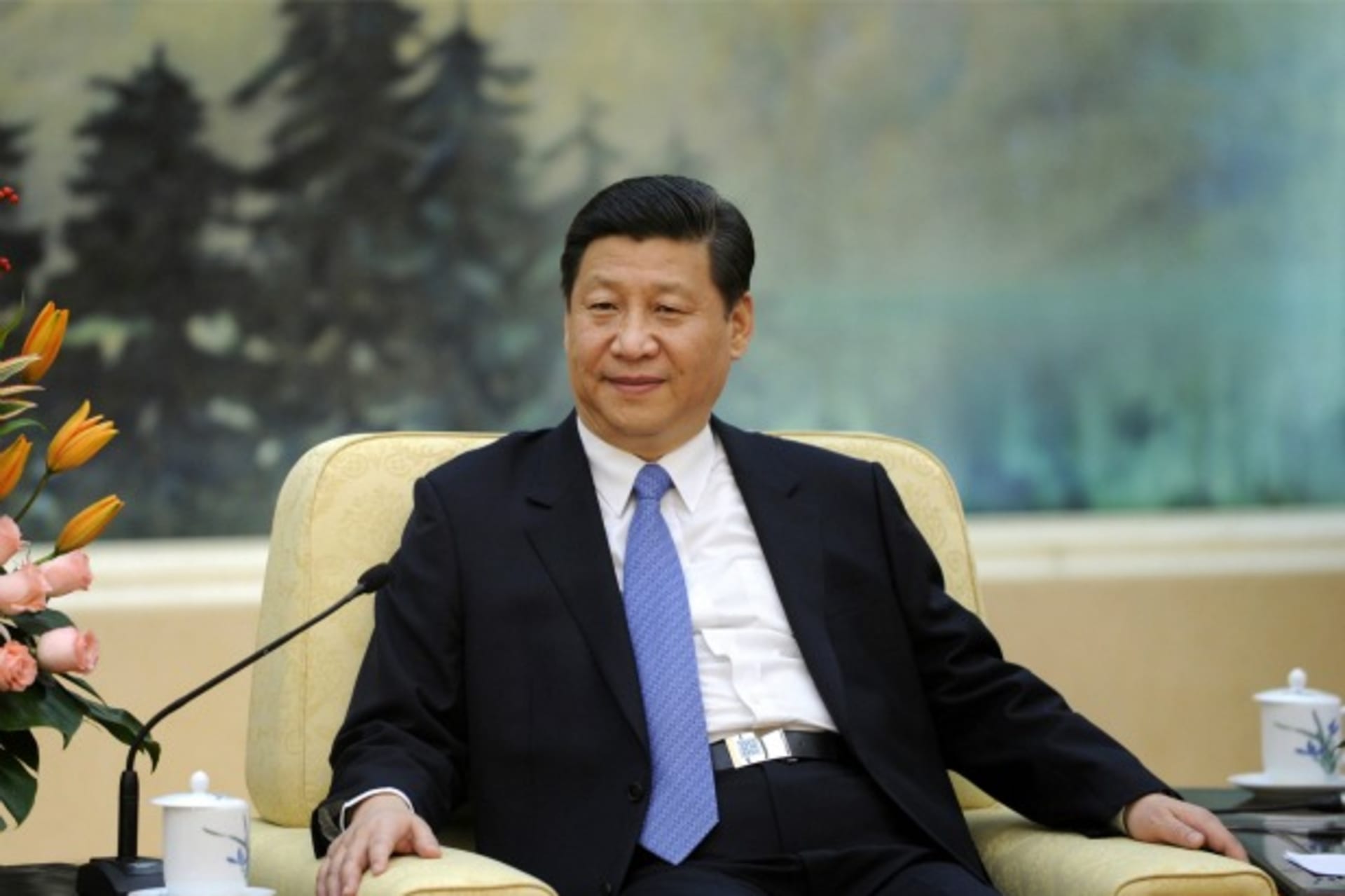<p>China’s Communist Party chief Xi Jinping looks on during his meeting with U.N. General Assembly President Vuk Jeremic at the Great Hall of the People in Beijing on December 27, 2012.</p>