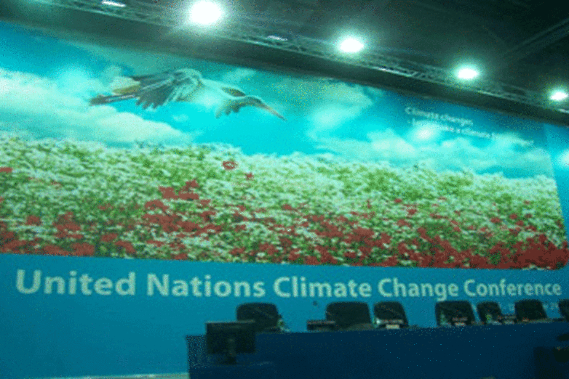 UNFCCC-background