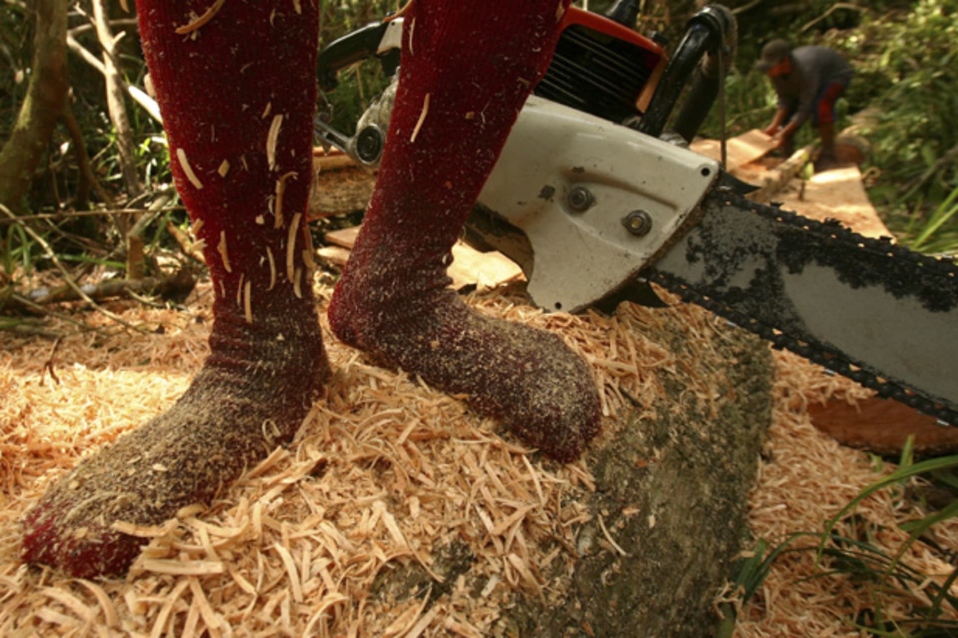 To match Special Report CLIMATE DEFORESTATION/INDONESIA