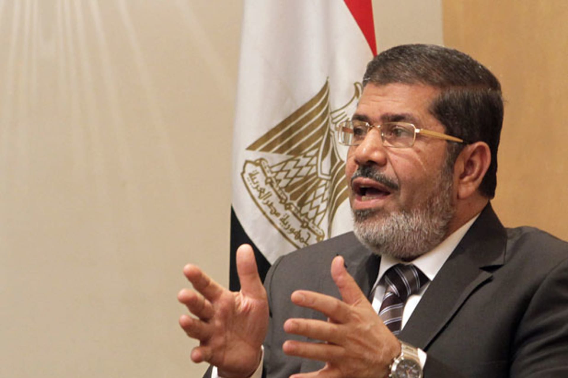 Egypt-Constitutional-Princi