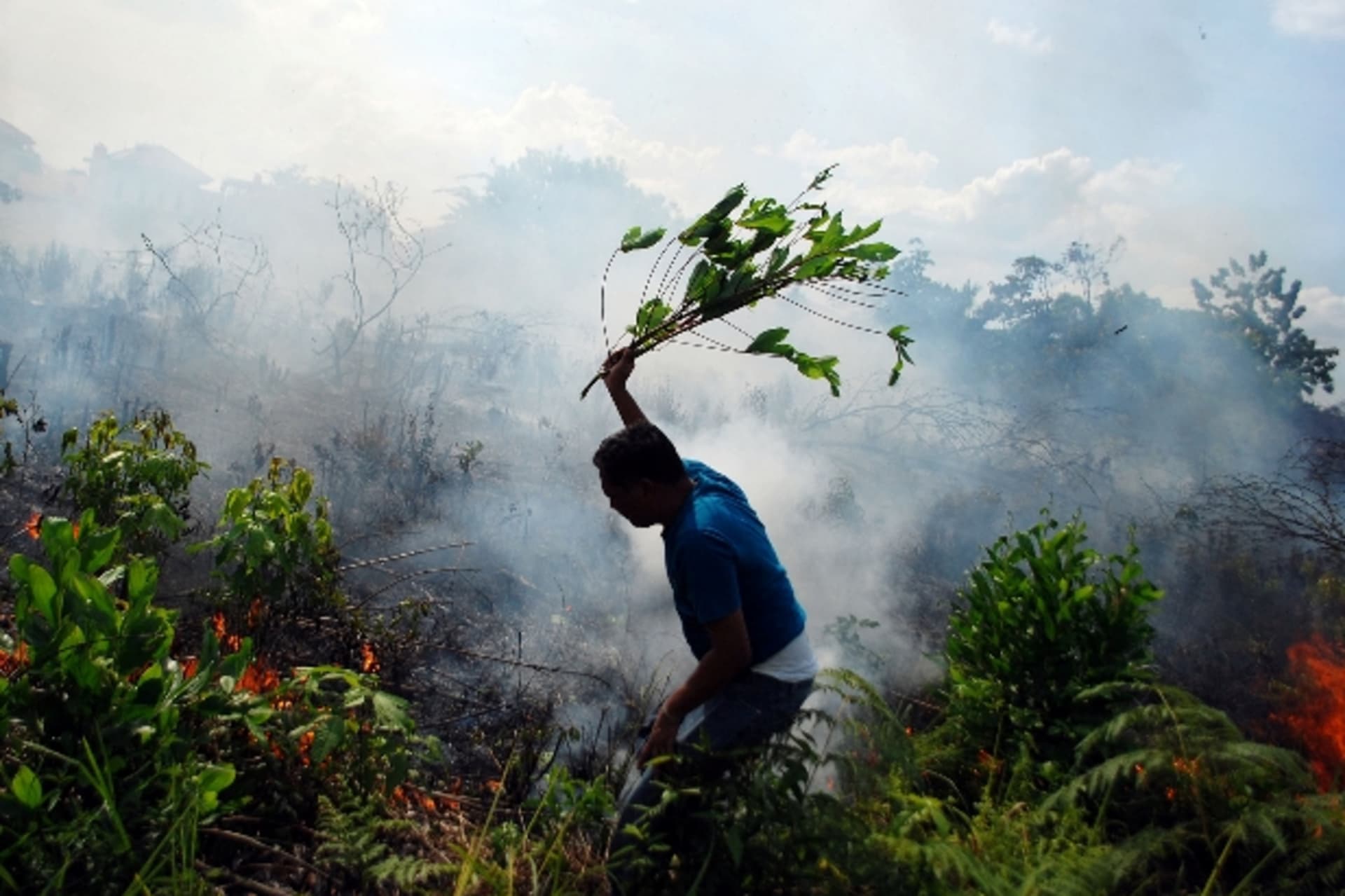 <p>indonesia-forest-fire</p>
