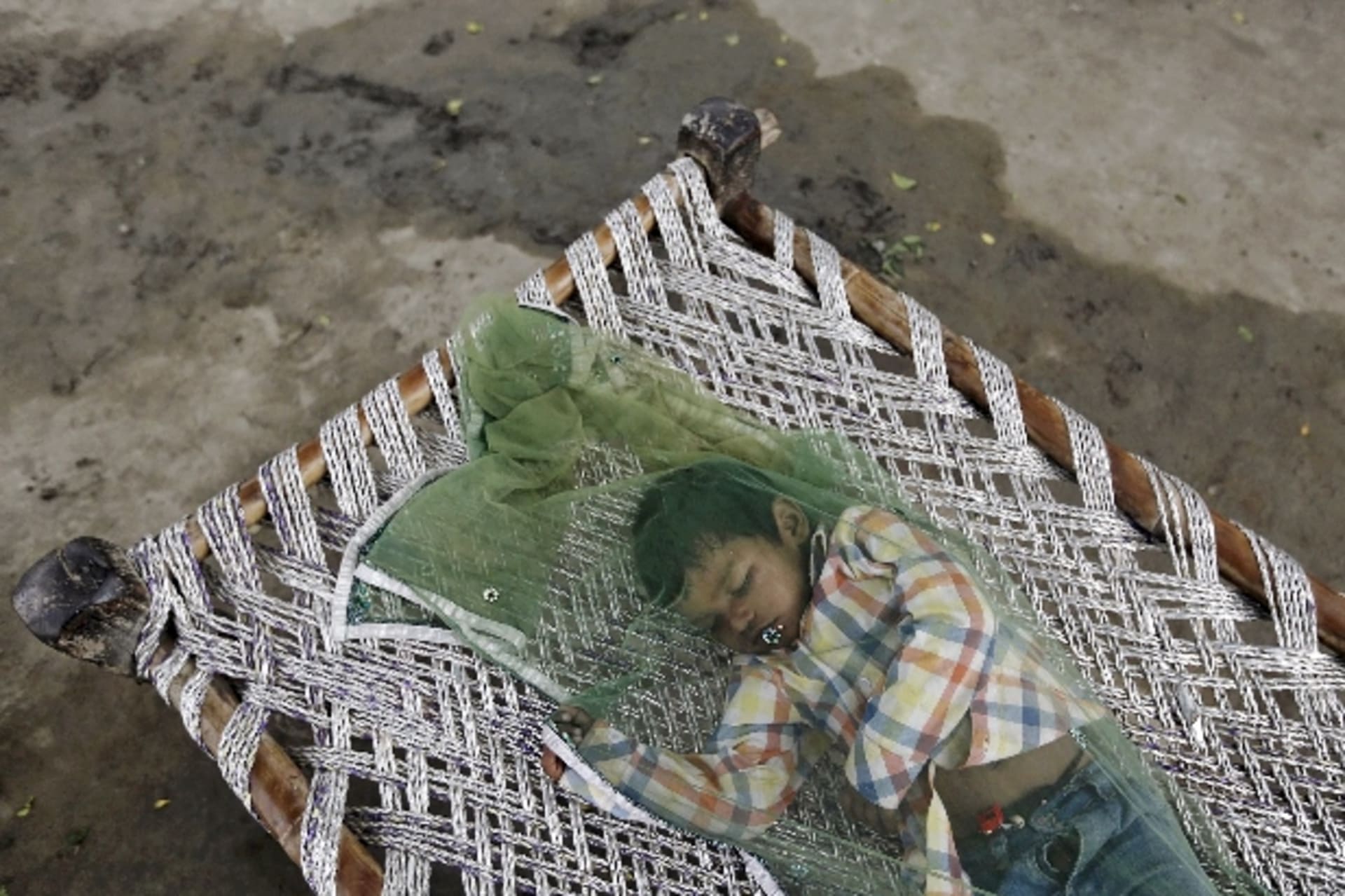 <p>delhi-mosquito-net</p>
