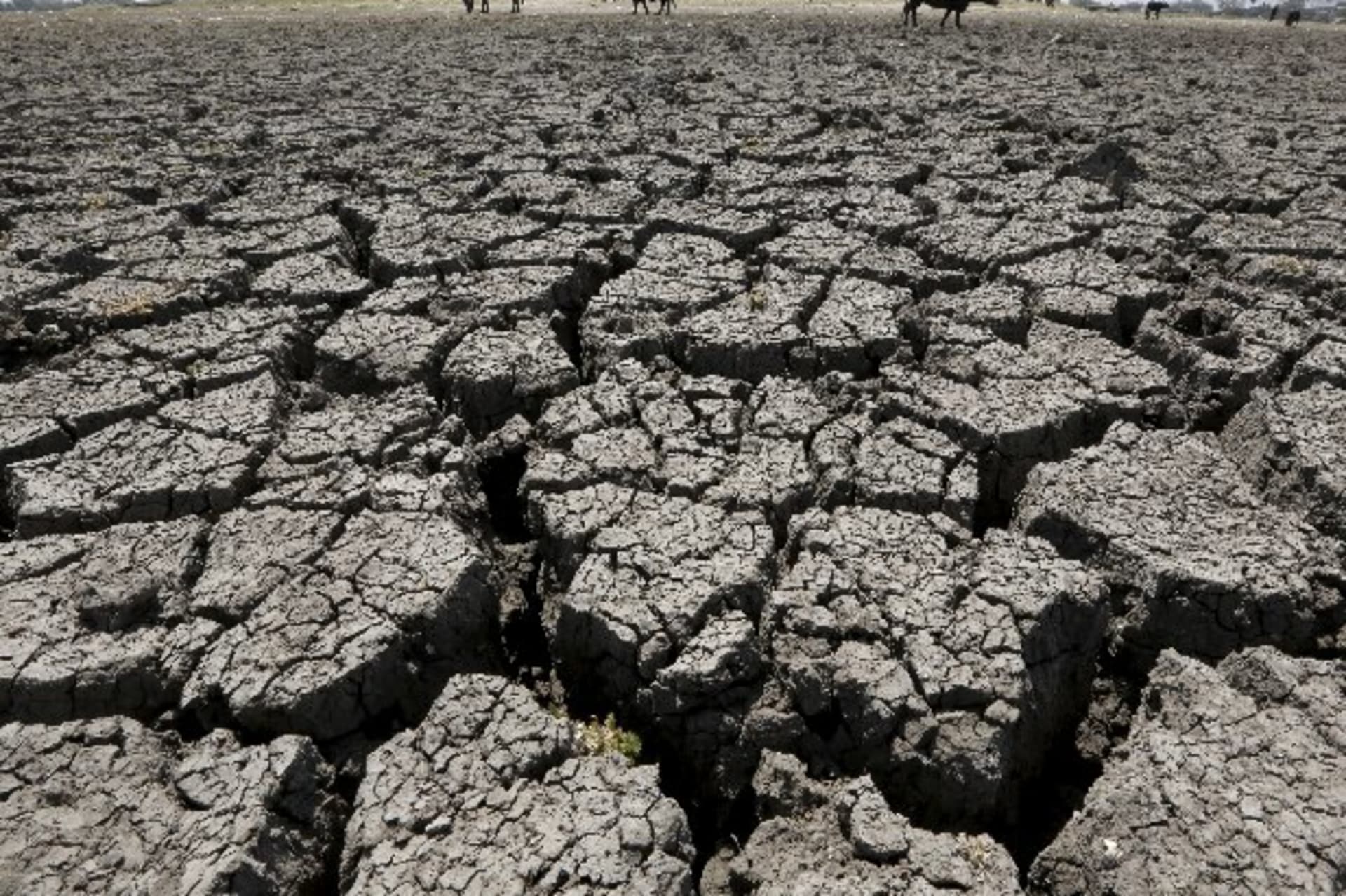 <p>India-drought</p>

