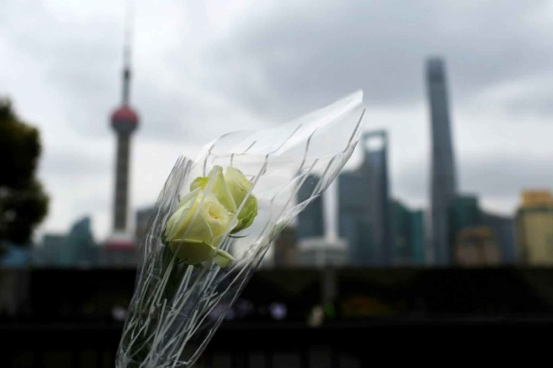 <p>A bouquet of flowers is pictured at the site of a memorial ceremony for people who were killed in a stampede incident last Wed… people and dented the city’s image as modern China’s global financial hub. REUTERS/Aly Song (CHINA – Tags: DISASTER BUSINESS)</p>
